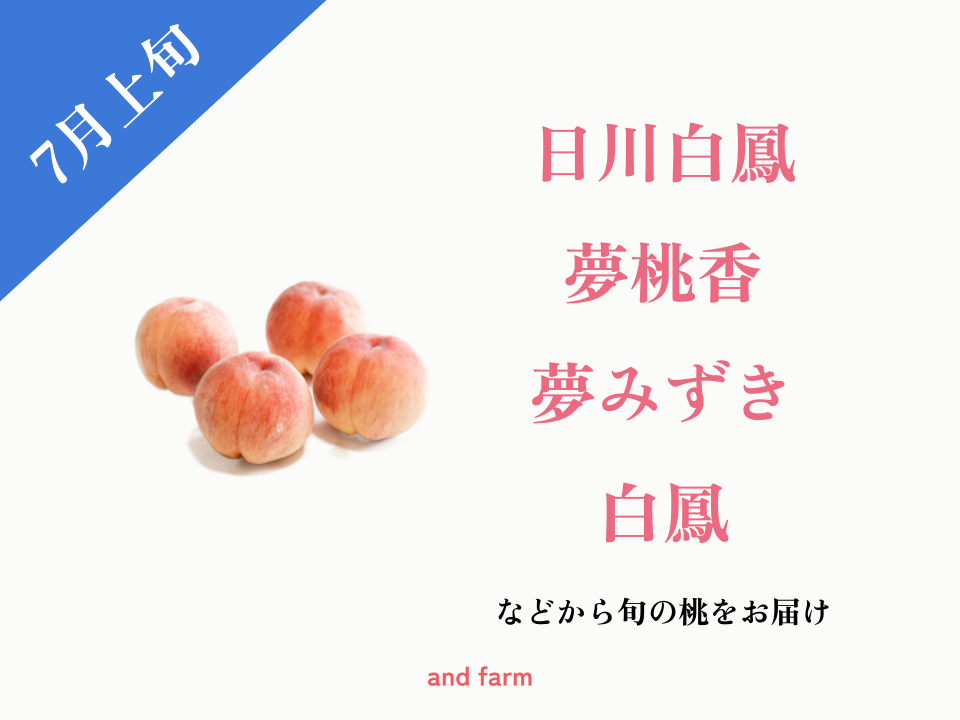 新着商品 B品 新潟県産桃 2.5kg
