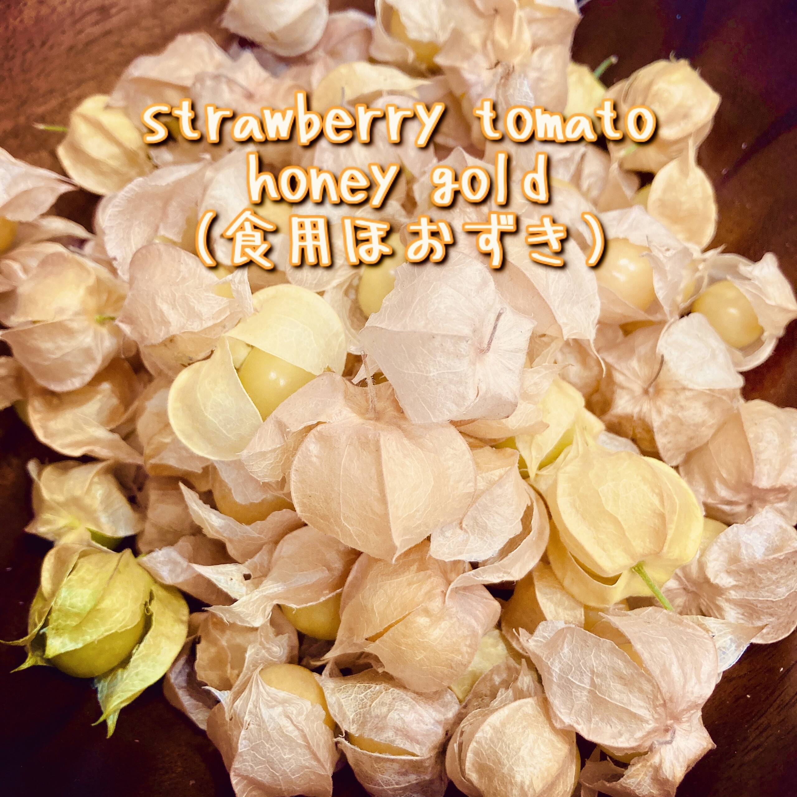 ゴールデンベリー 食用ほおずき 300g：富山県産のその他野菜｜食べ