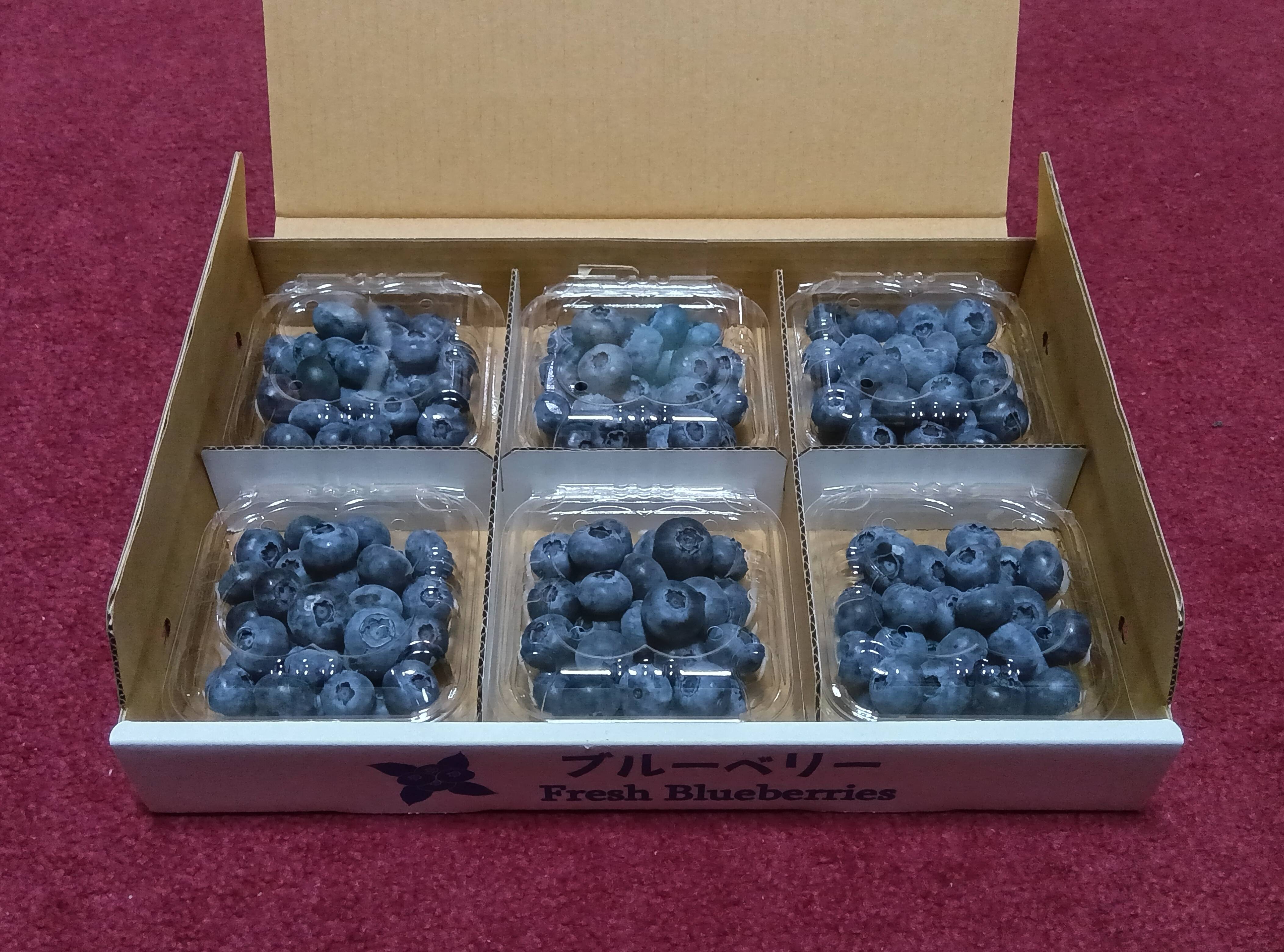 旬の生食用ブルーベリー【中・大粒】1,800g（100g×6パック×3箱 