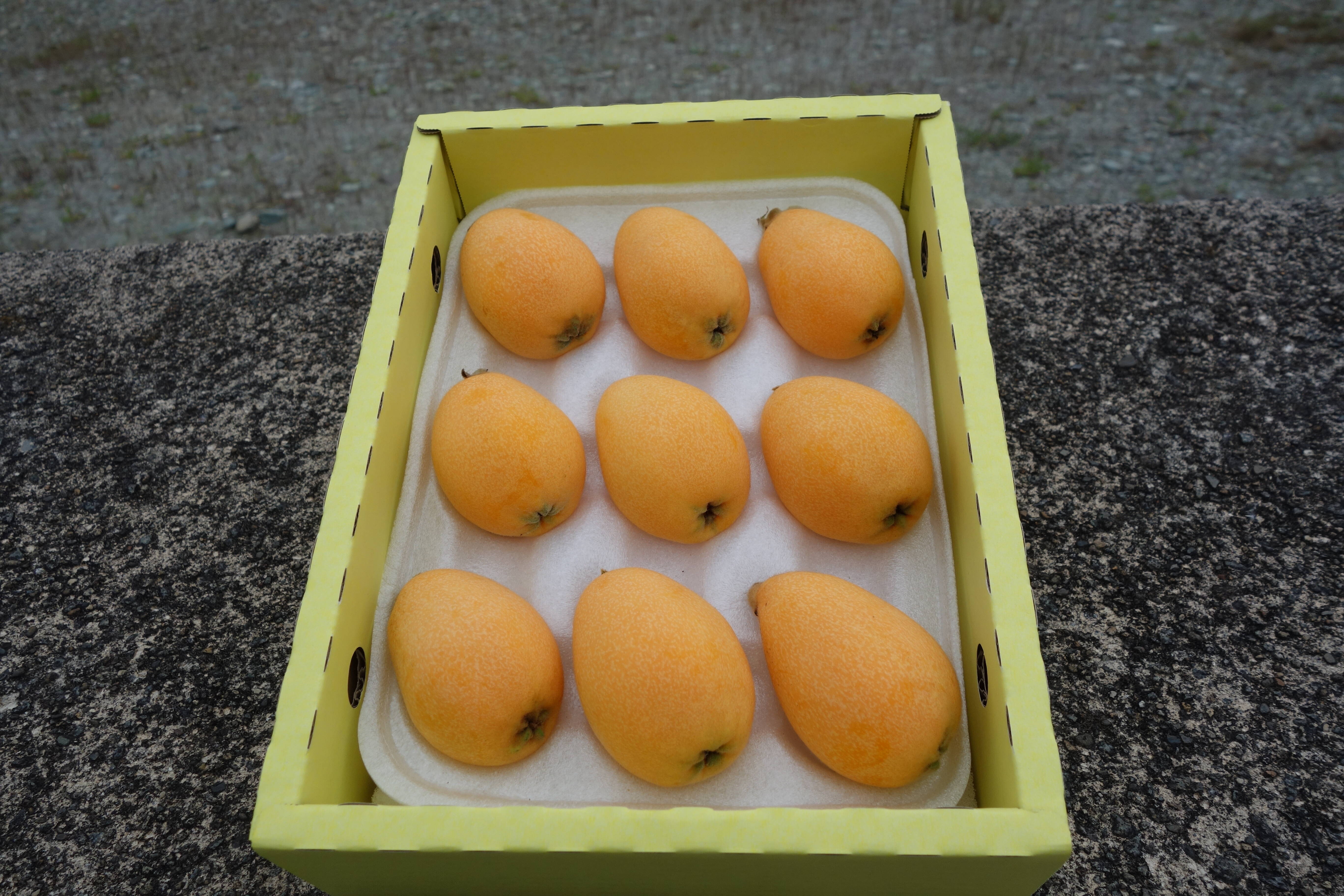 期間限定、最終出荷直前にて完熟で！】採りたて新鮮が一番美味しい！甘