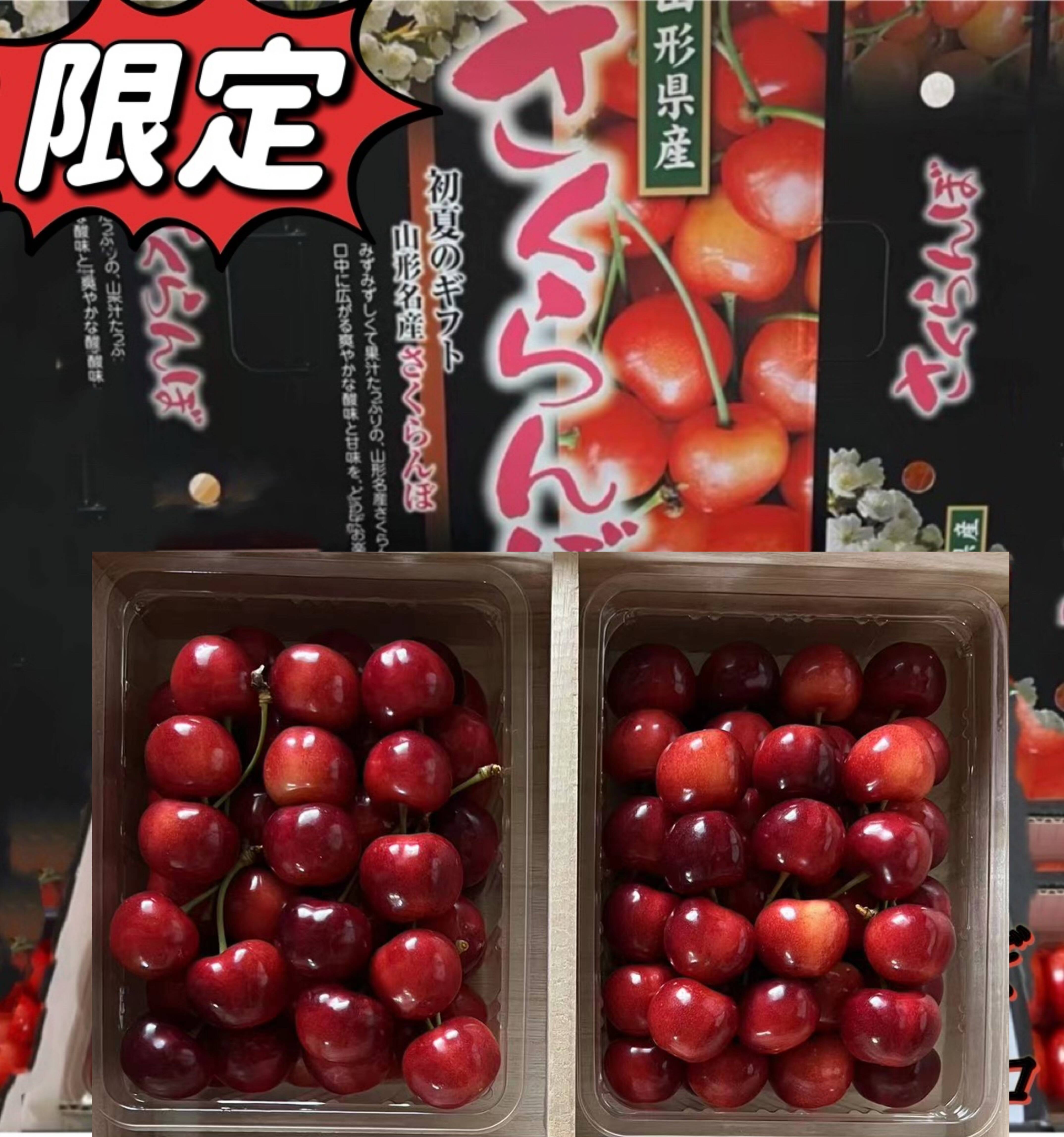 山形県産さくらんぼ やまがた紅王：山形県産のやまがた紅王