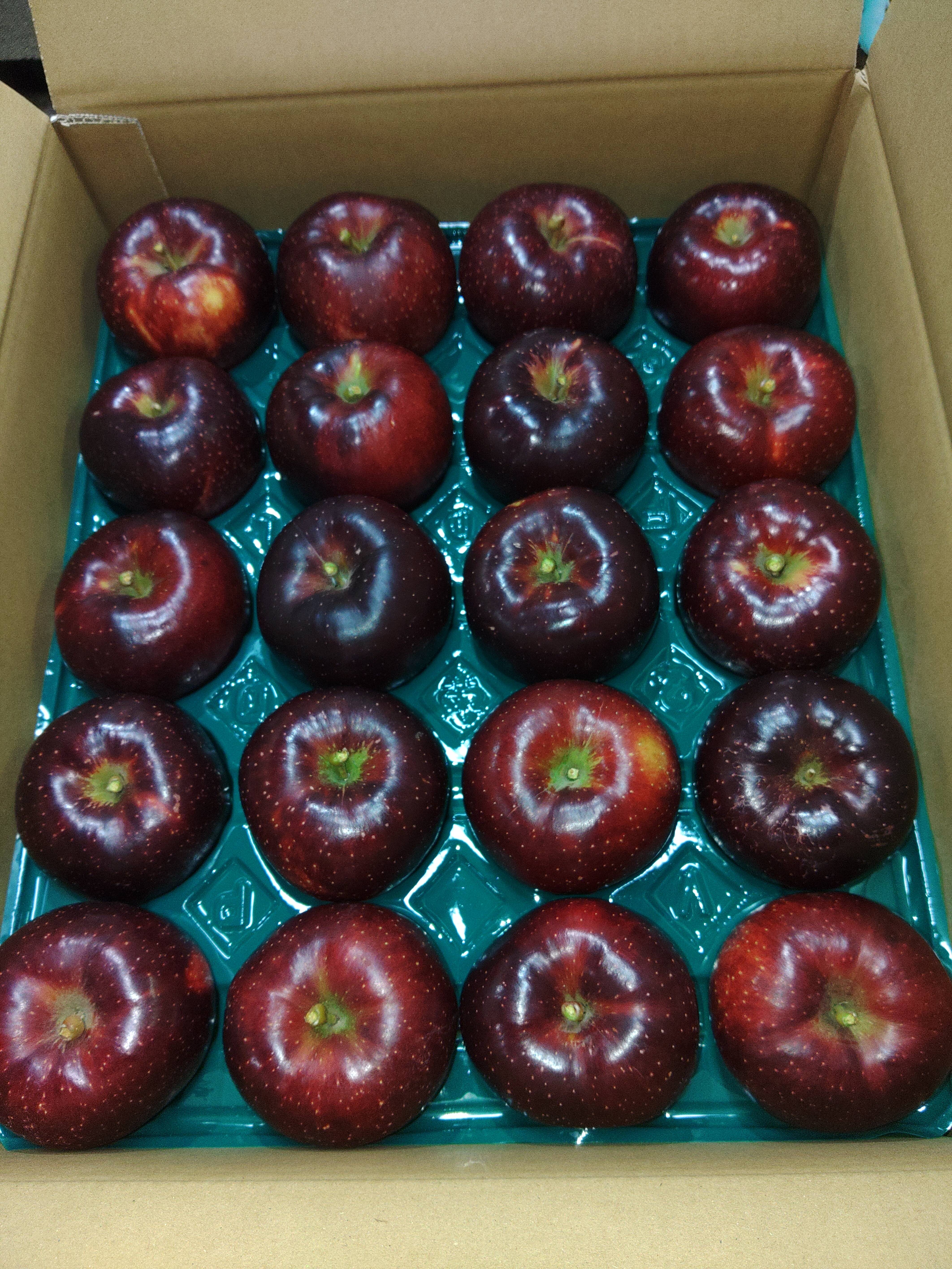 りんご 訳あり🍎秋映🍎 長野県オリジナル品種 三兄弟の長男 5kg 小玉