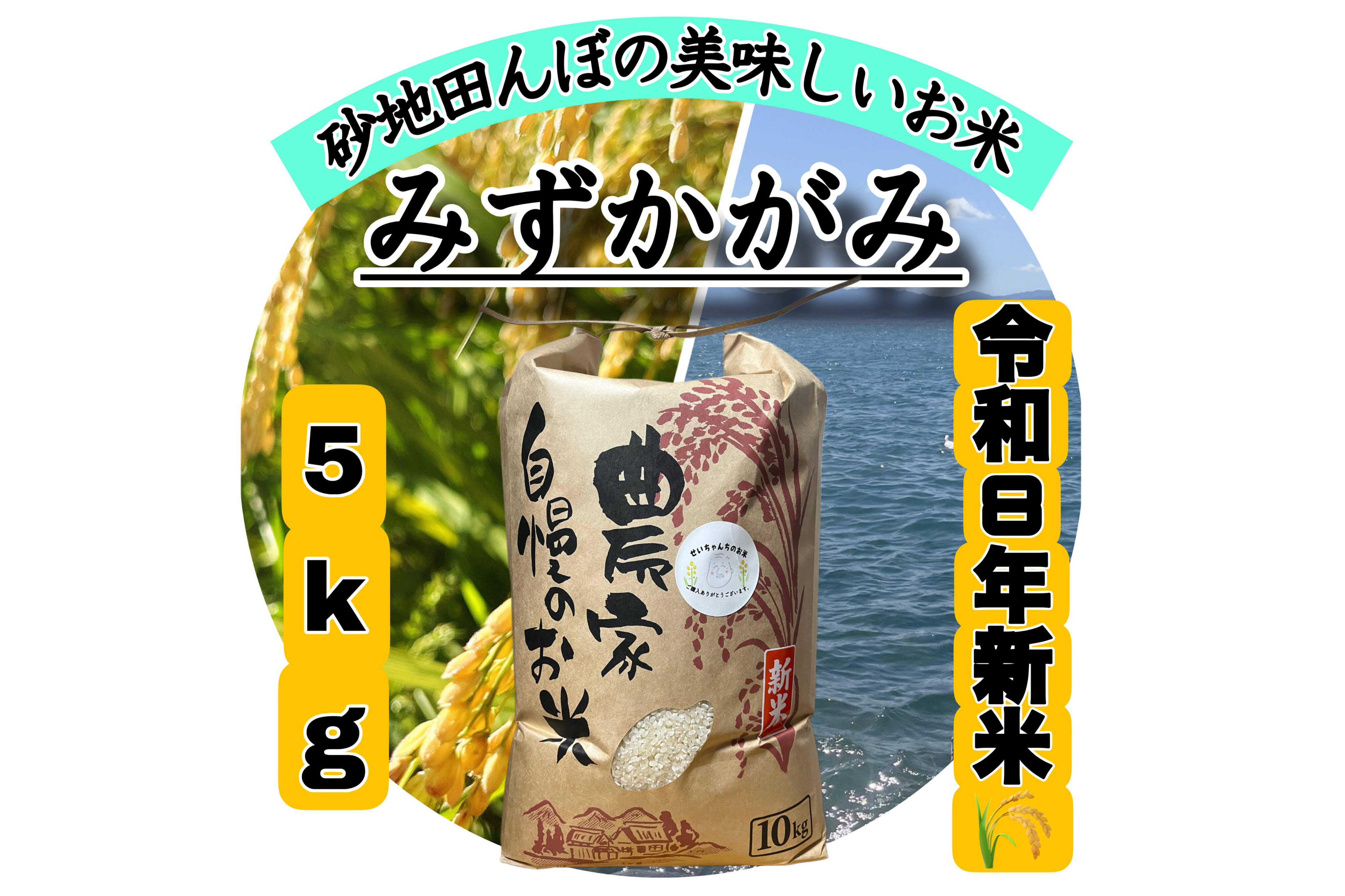 令和8年新米】【白米】 『みずかがみ5kg』まろやかな甘みとほどよい