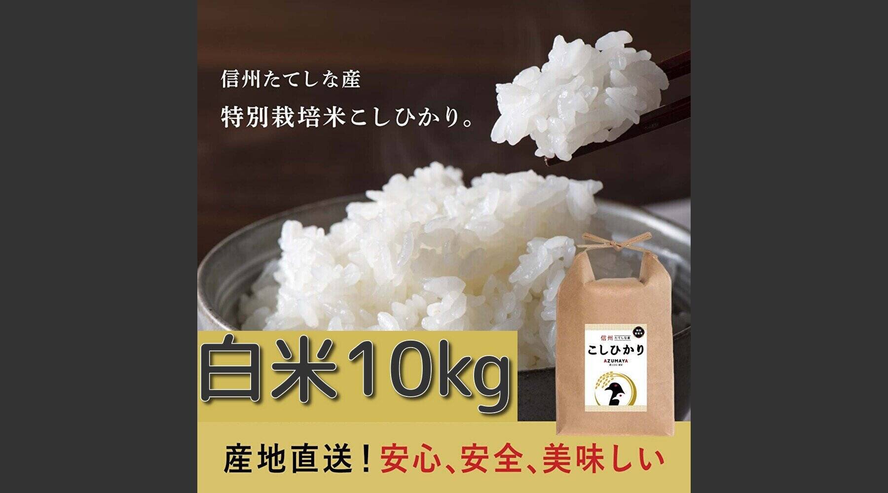 令和5年産 新米 近江米 滋賀県産 コシヒカリ100% 白米20kg 産地直送 - 米