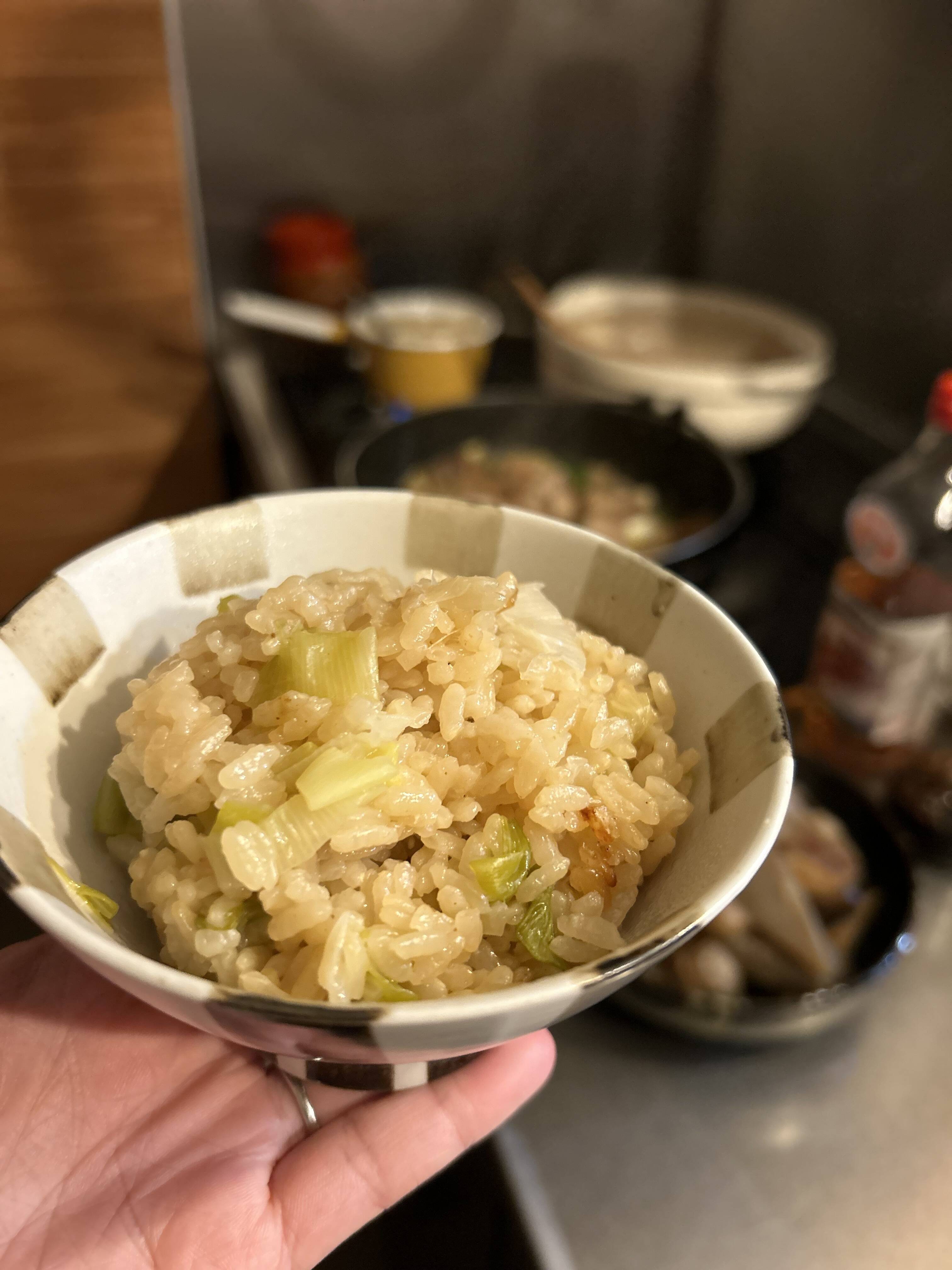 白ネギごはん