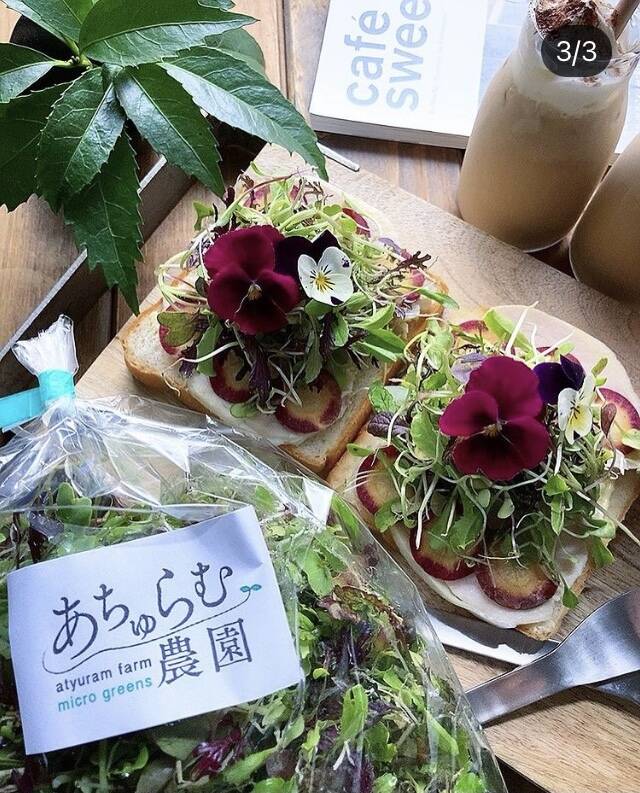 お得なセット】マイクログリーンmixとエディブルフラワーのサラダ