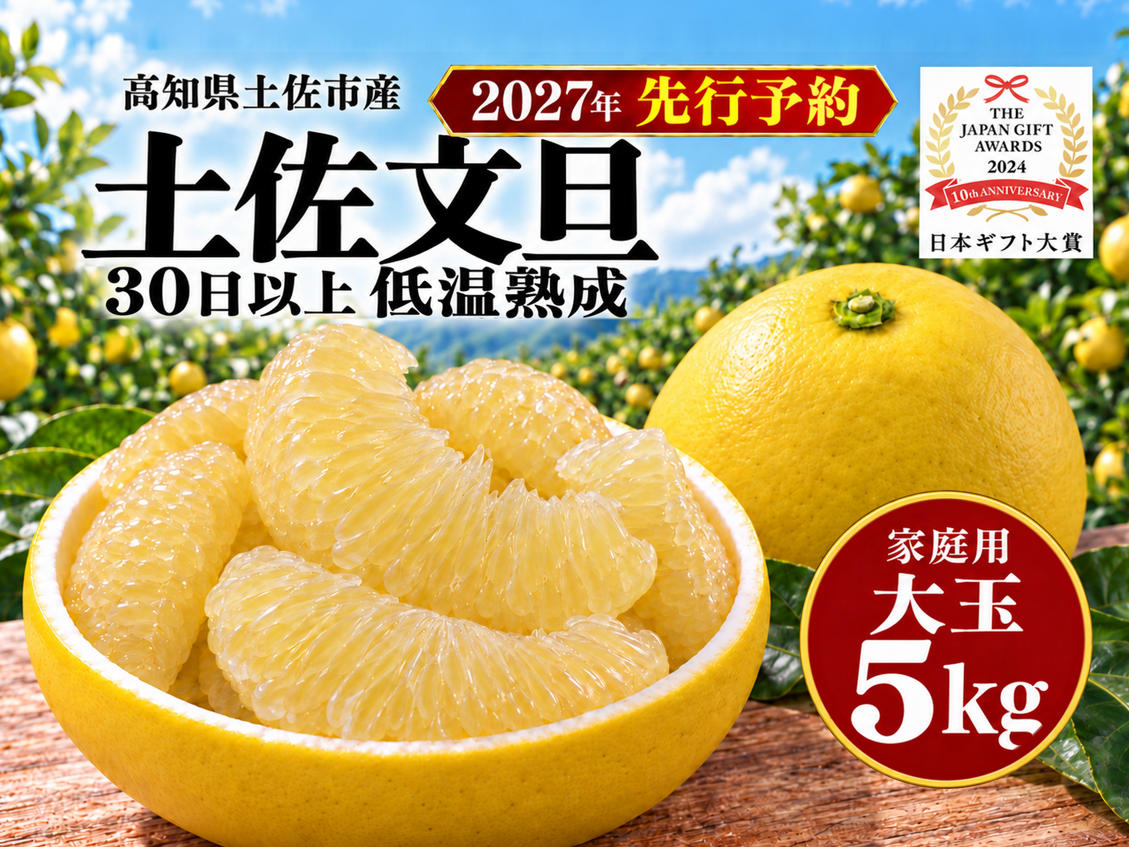 【約50玉使用】1日3本限定 高知県産土佐文旦100%果汁2L 5倍希釈 無添加 土佐文旦 大玉5kg 家庭用｜ひと房ごとの食べ応え｜約8～12玉｜発祥の地