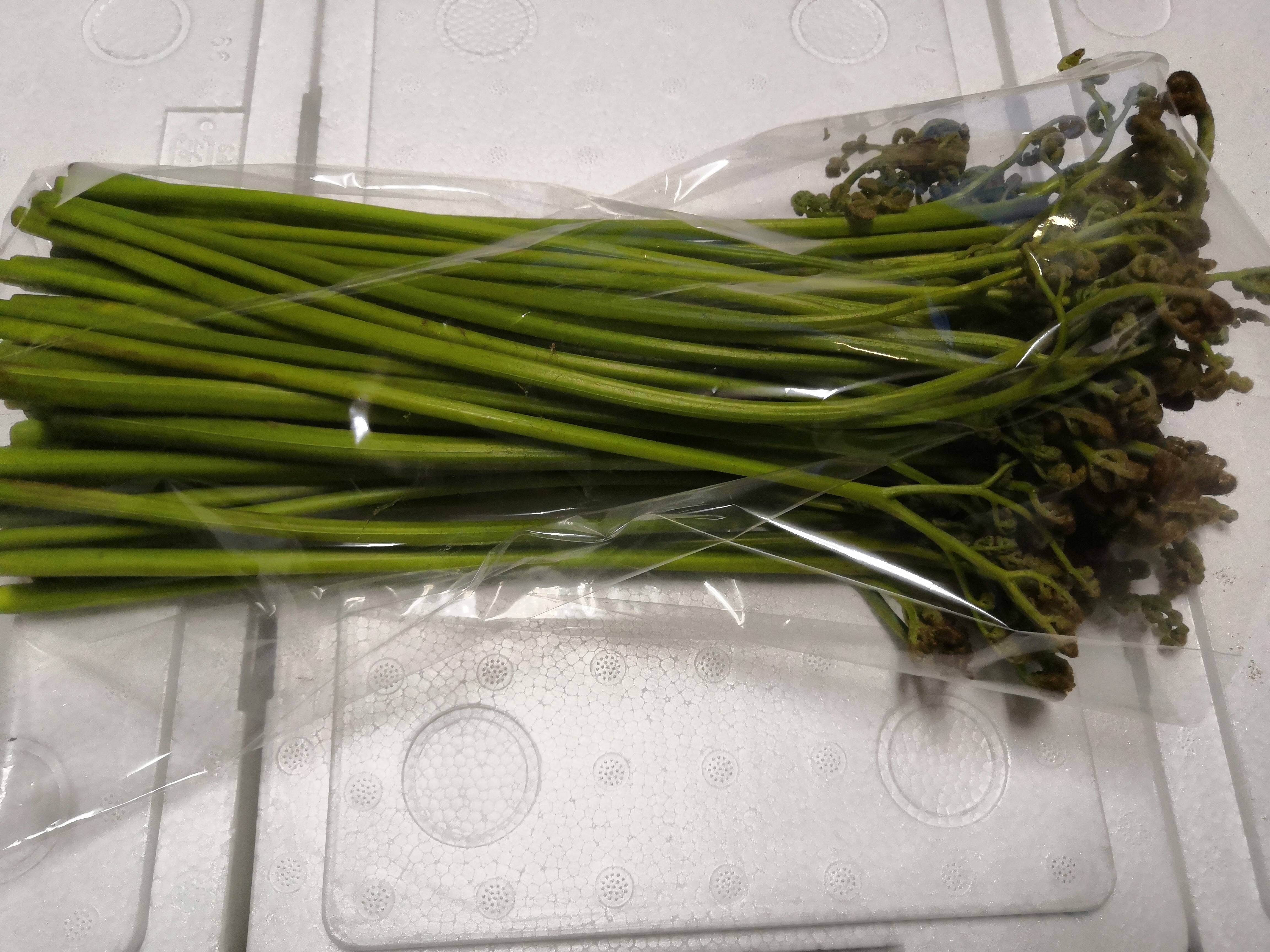 なべくら高原産 柔らかい「わらび」 1.5kg：長野県産のワラビ｜食べ