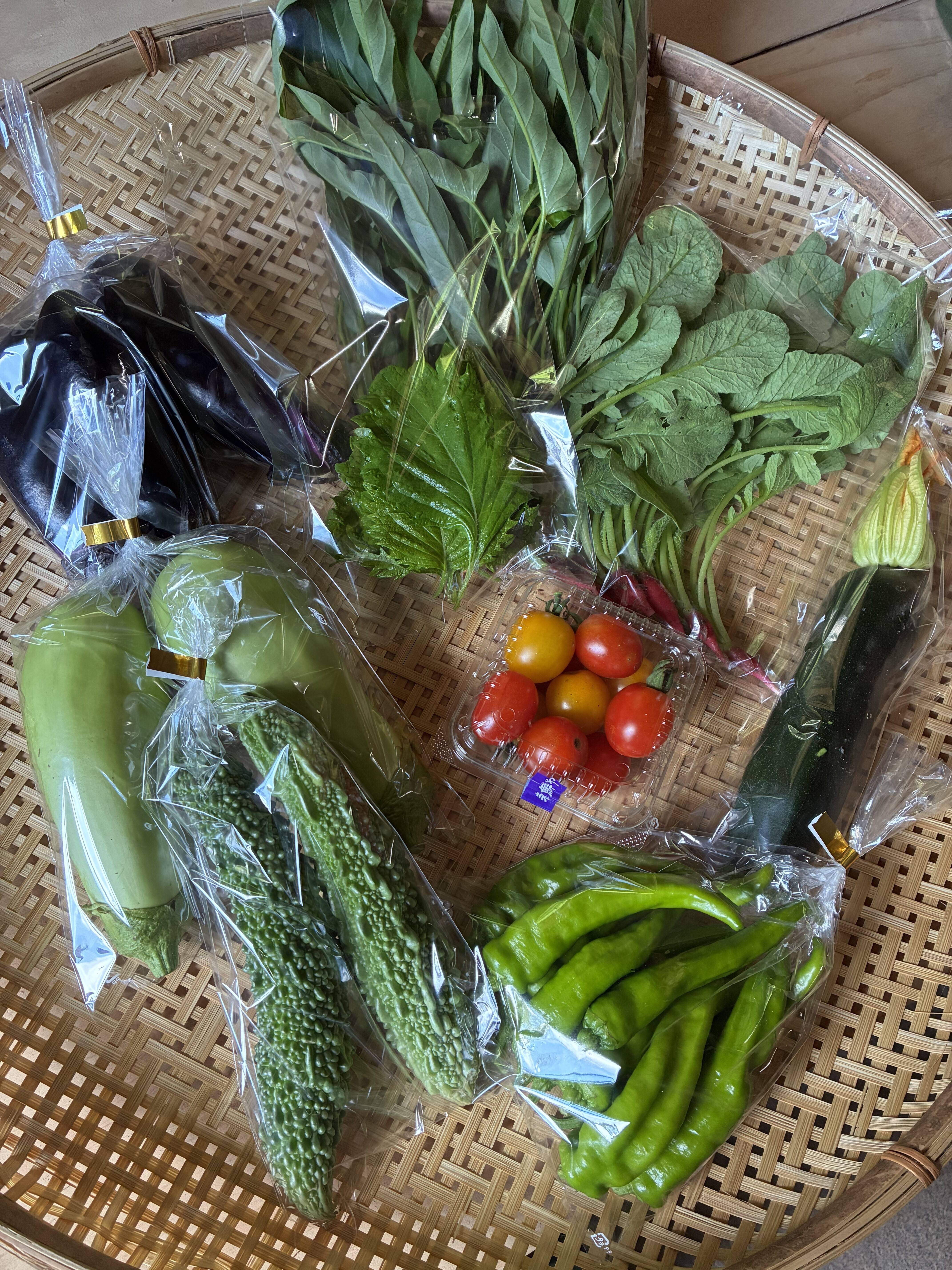60サイズ！夏野菜満喫セット mini＜農薬、化学肥料不使用＞【朝どれ