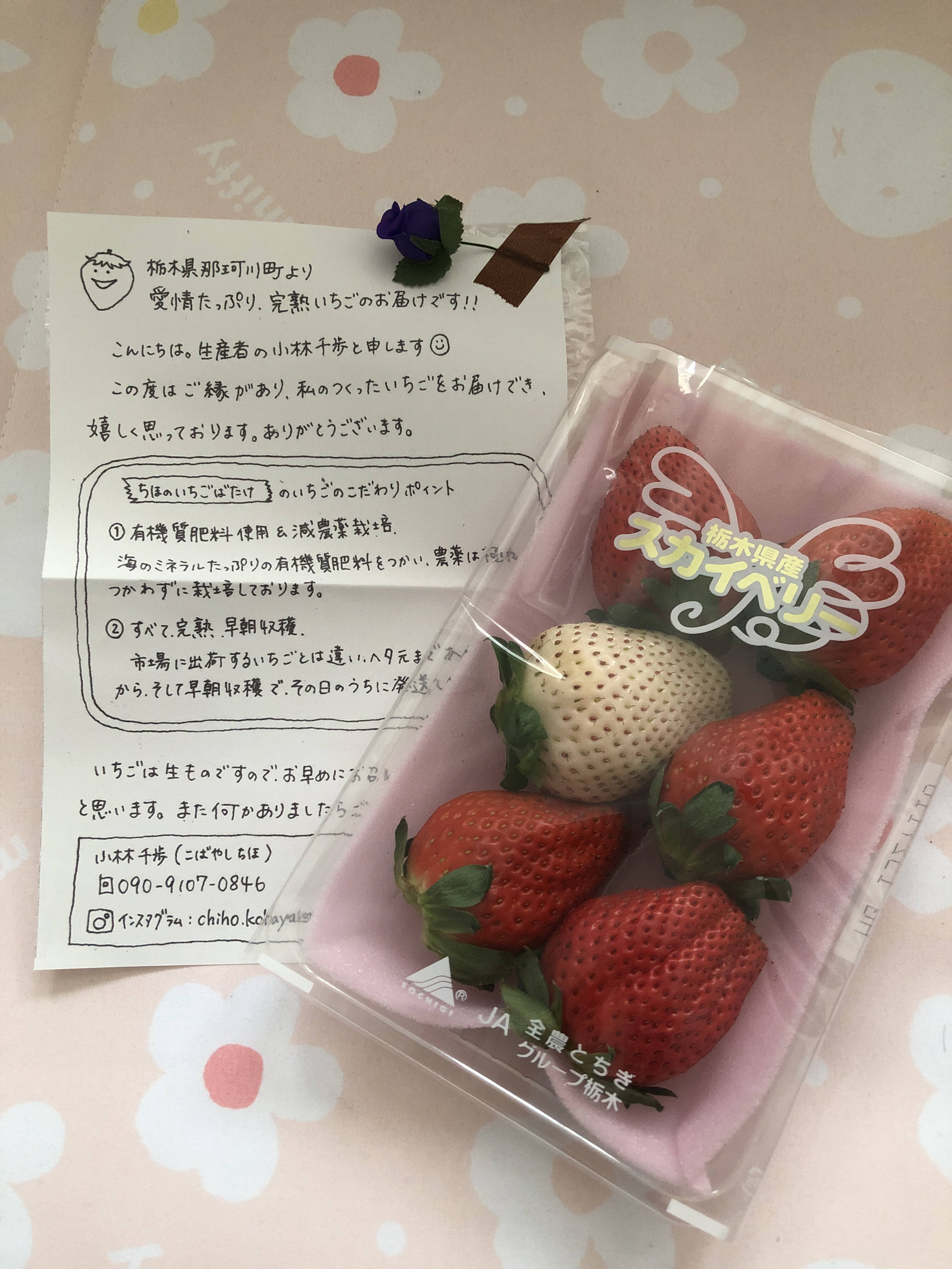 Masayo Sさんがちほのいちごばたけさんの完熟 スカイベリー 白いちご付き が 届いたよ を投稿しました 食べチョク