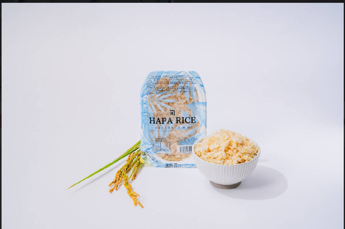 冬ギフト】 HAPARICE 酵素玄米パックごはん24食入 乳酸菌栽培米【健康
