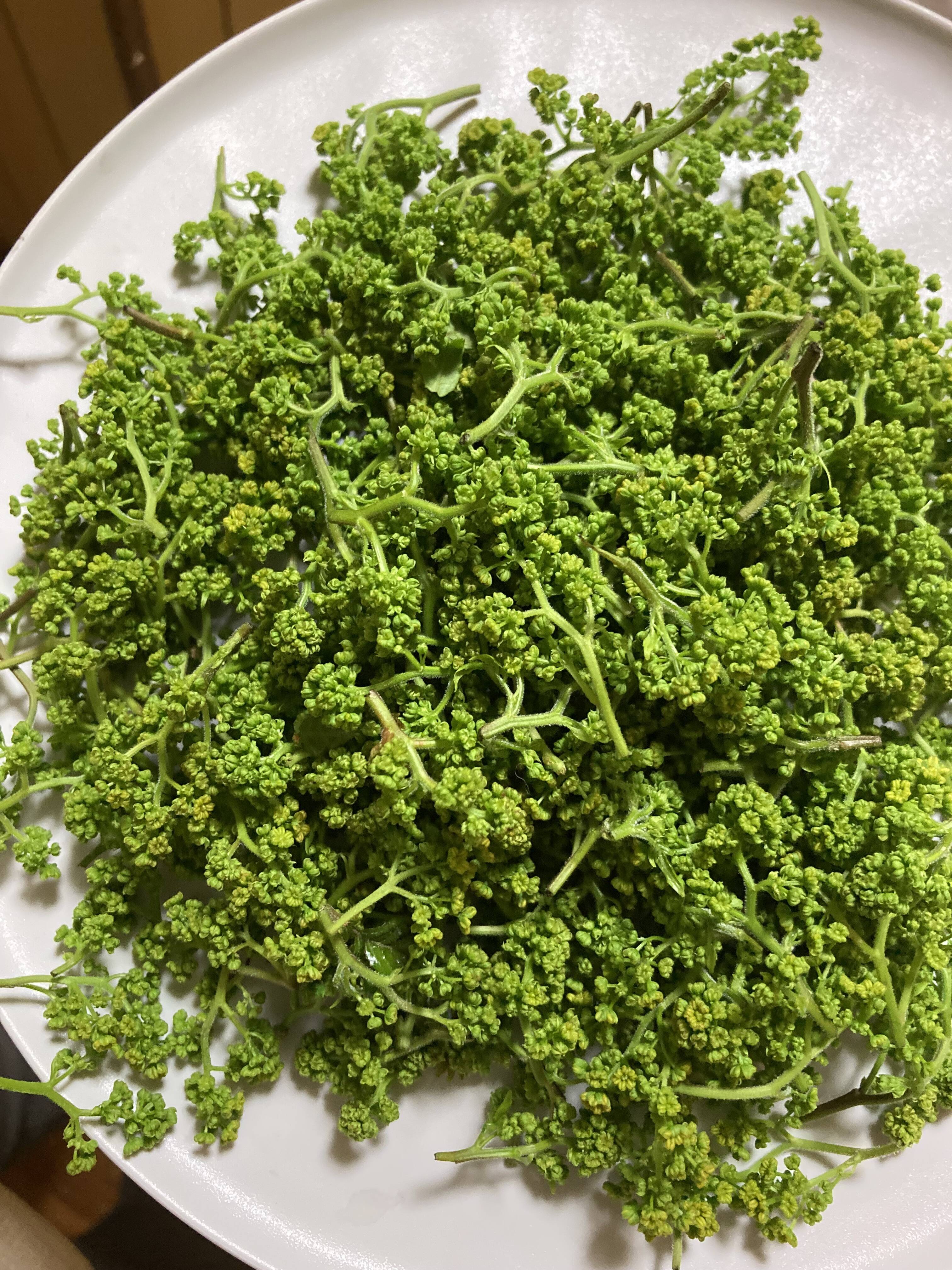 天然 花山椒 京都産 100グラム プロトン冷凍：京都府産の花山椒｜食べ
