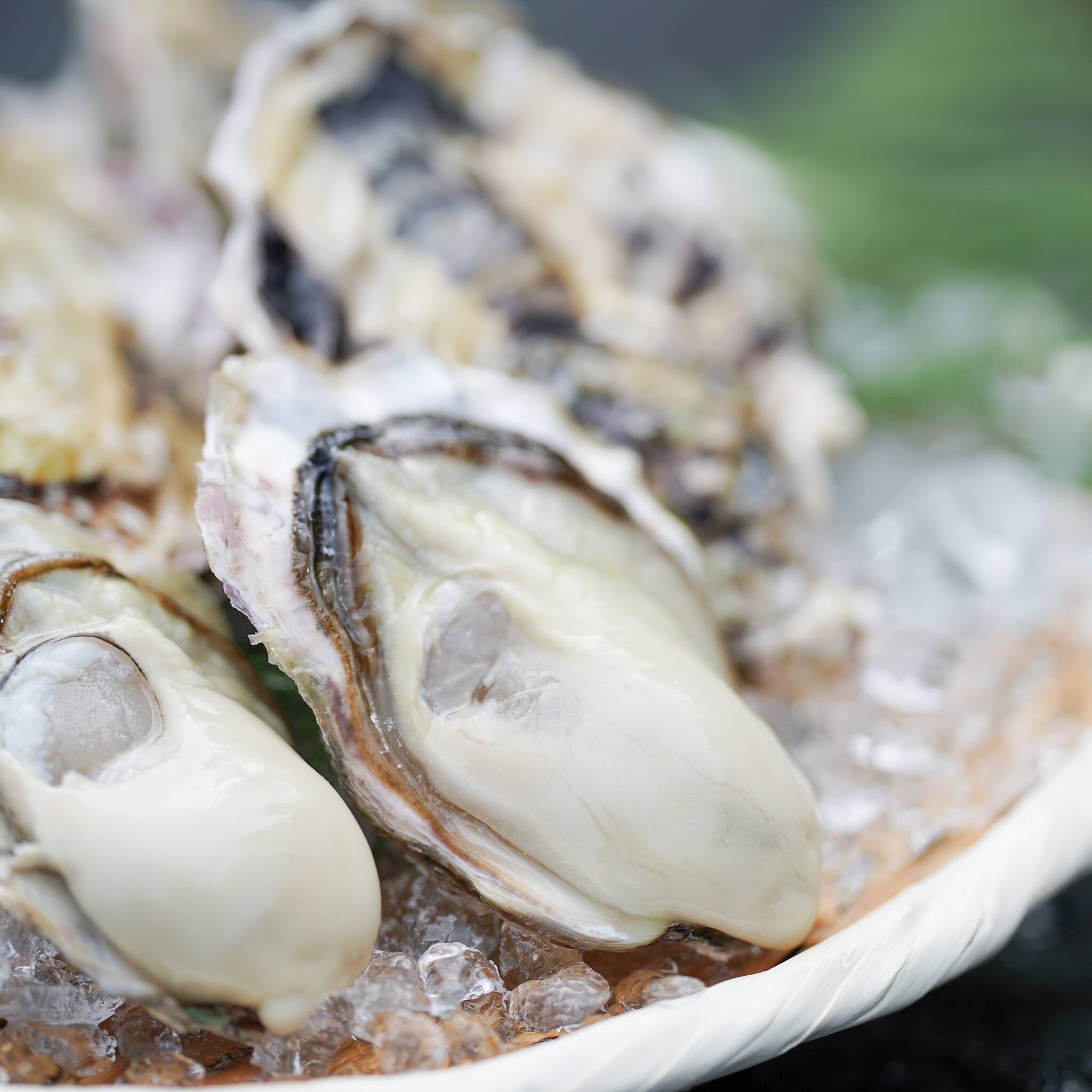 殻付き・ 生食可】豊かな海が生んだ袈裟丸牡蠣3キロ(30個前後