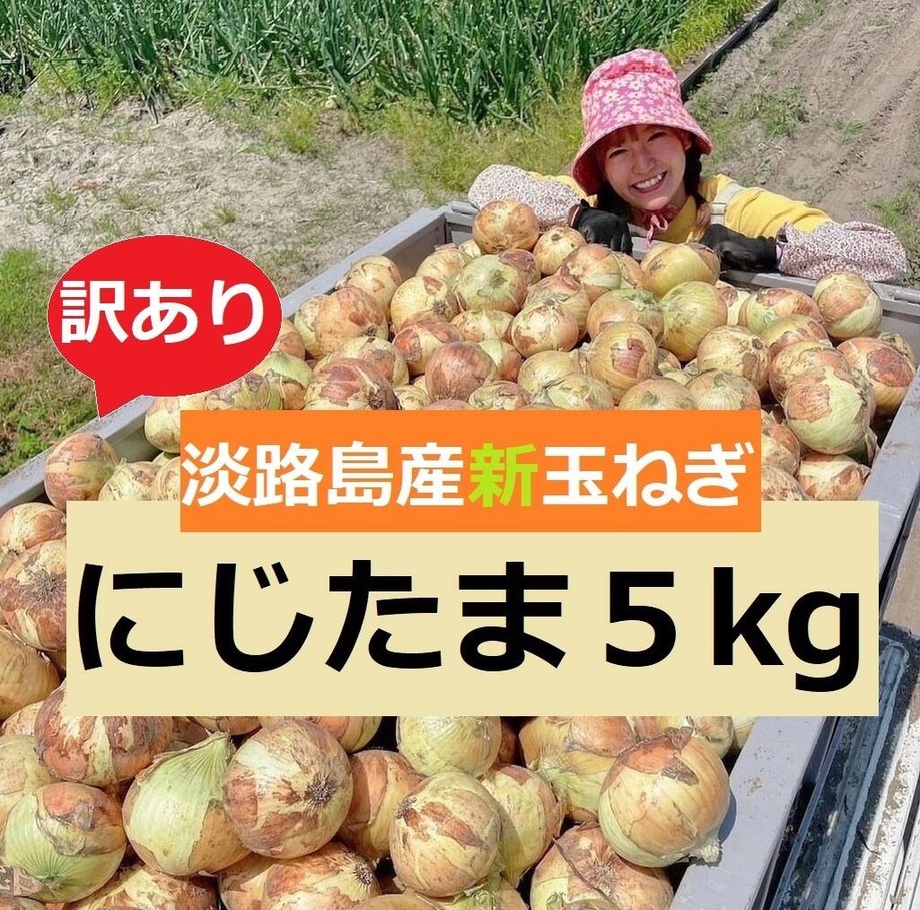 淡路島産 新玉ねぎ 訳あり5キロ箱 - 野菜