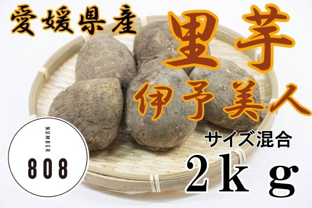 愛媛県産 里芋 里いも 伊予美人 2kg：愛媛県産の里芋｜食べチョク｜産地直送(産直)お取り寄せ通販 - 農家・漁師から旬の食材を直送