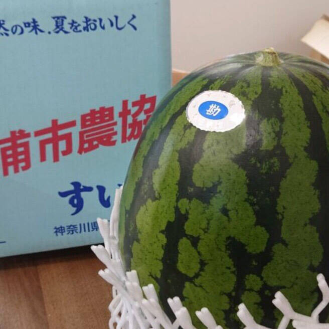 三浦のすいか 2玉(1玉約8-9kg)：神奈川県産のその他スイカ｜食べチョク