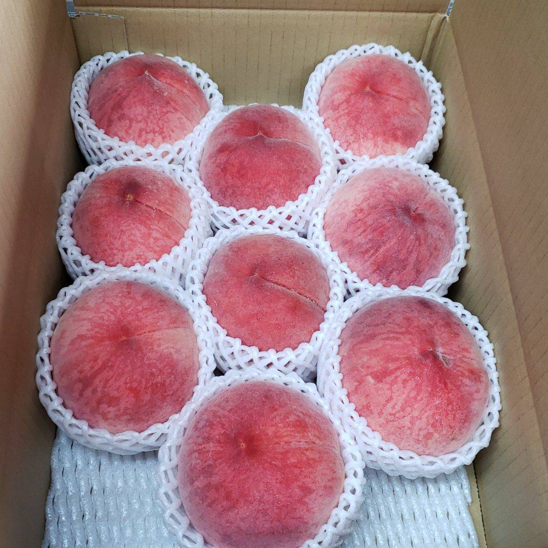 果汁溢れる！桃『あかつき』ご家庭用3㎏：長野県産のあかつき｜食べ