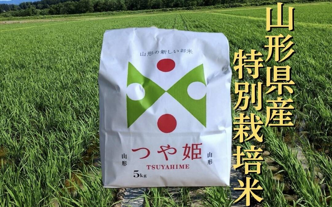 特別栽培米つや姫5kg：山形県産のつや姫｜食べチョク｜産地直送(産直