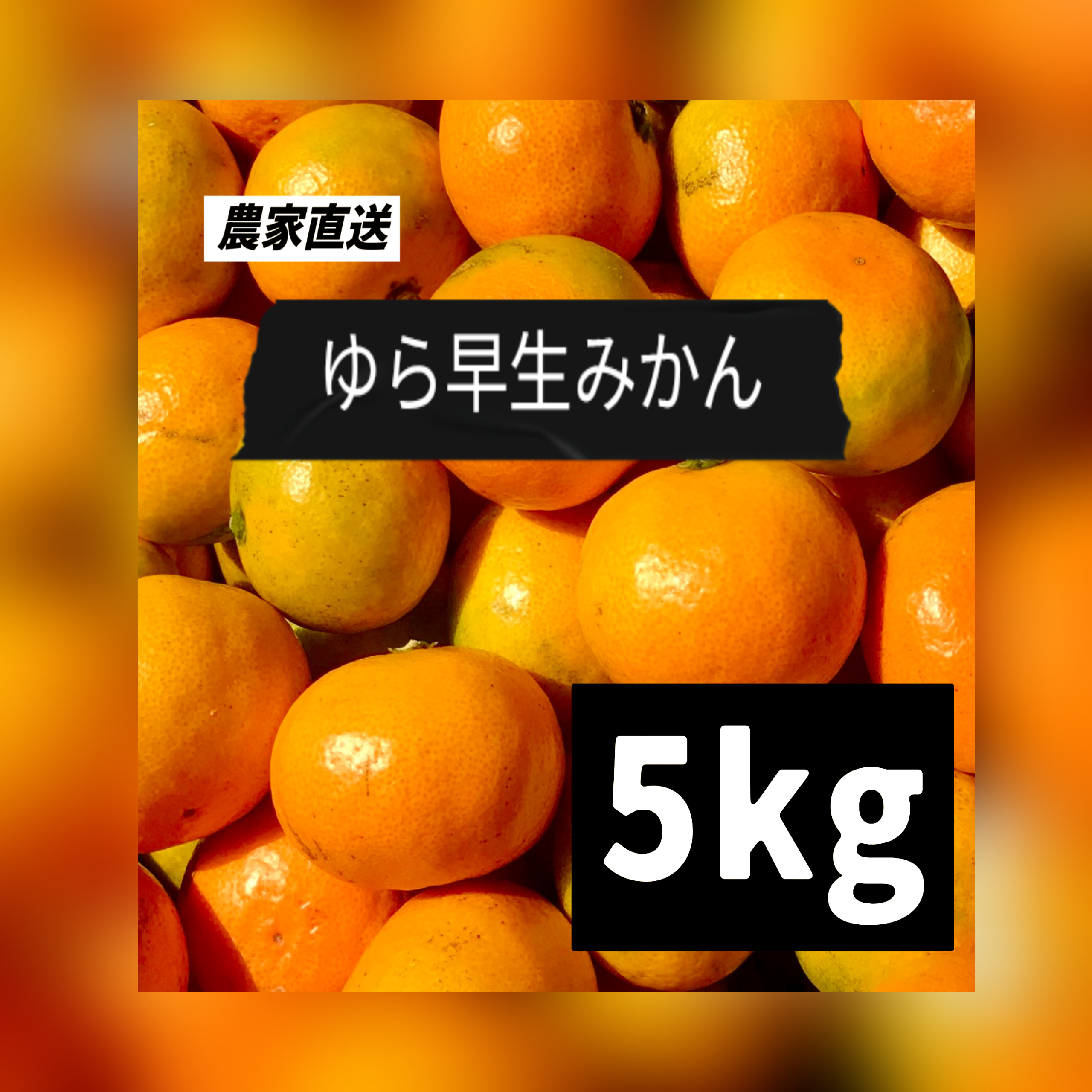 大人気！ゆら早生みかん (ご家庭用・5kg)：静岡県産のみかん・柑橘類