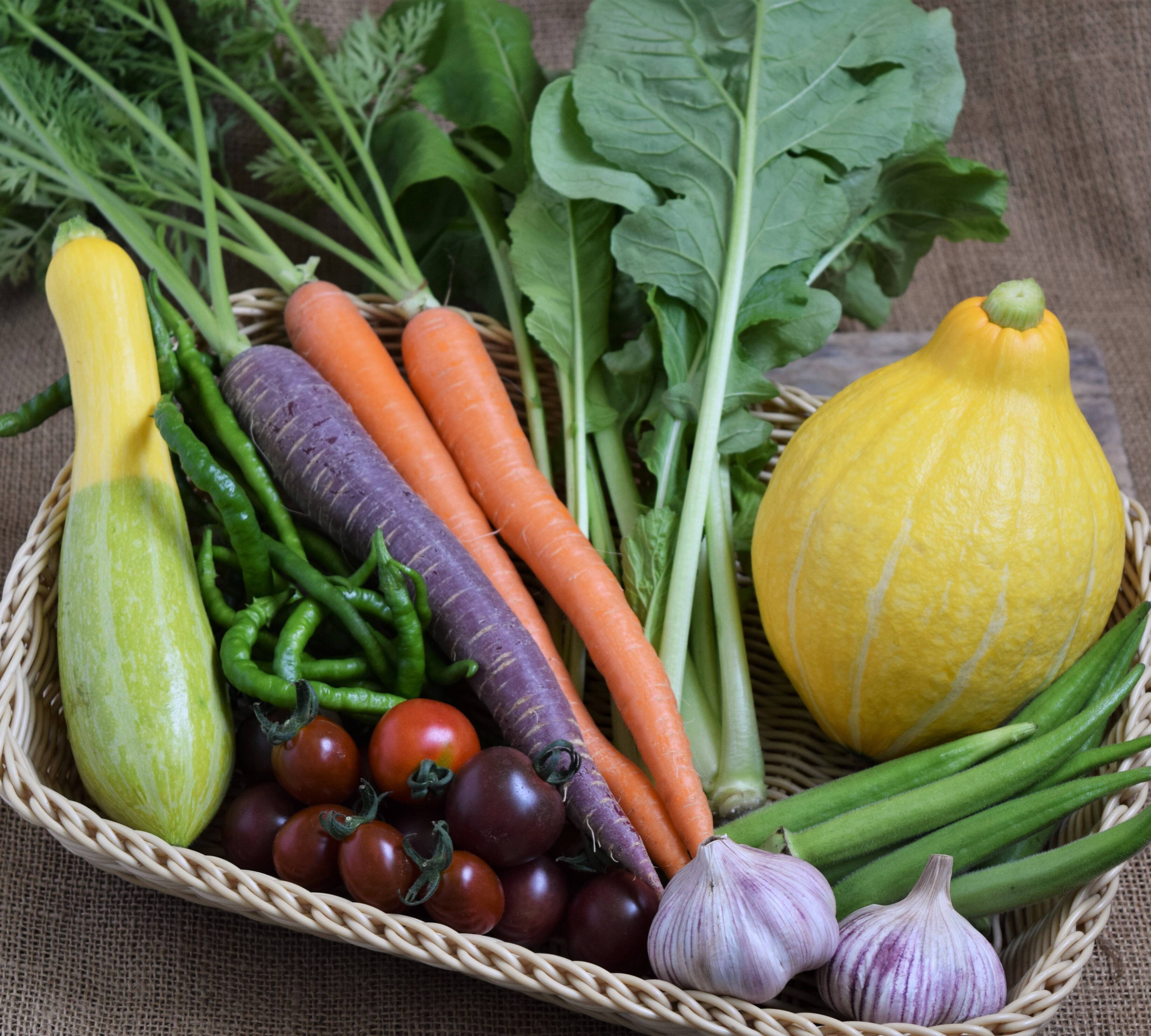 【専用】野菜様 多品目栽培農家のユニーク旬野菜つめあわせ8種セット：奈良県産の野菜