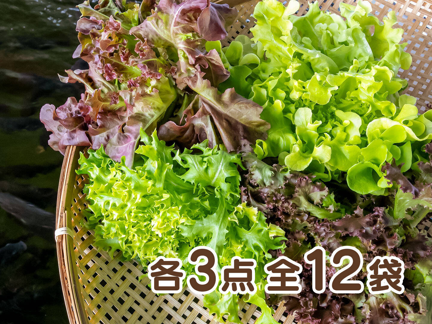 4ff4ebaef4078931047e0d2a4585c1