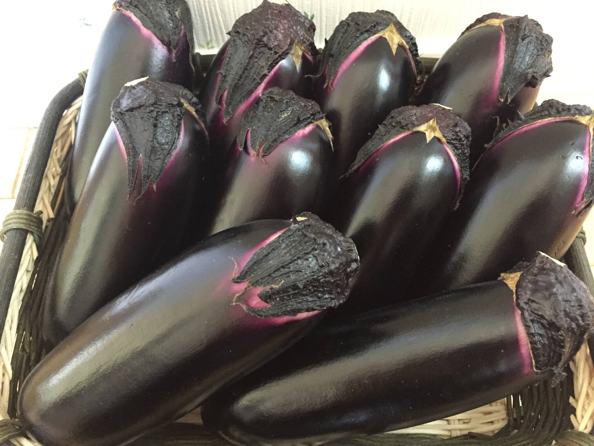 500f3a9202f4c47c8bb474e9e00dcc