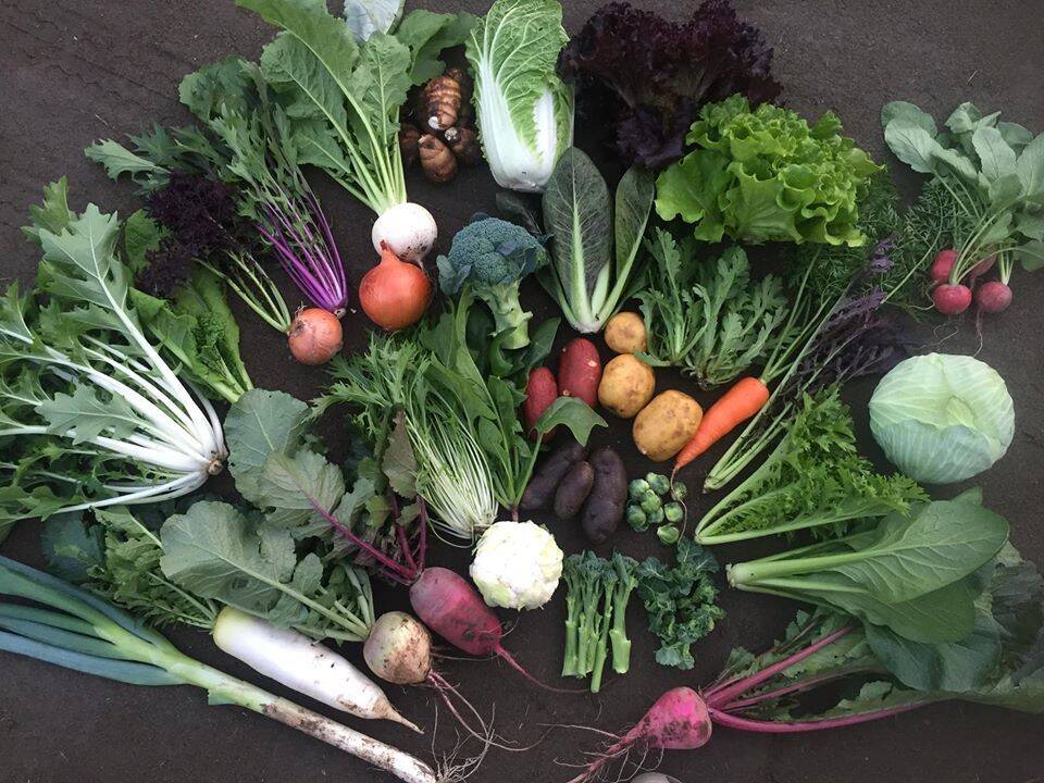 BonzFarmの紹介：埼玉県｜食べチョク｜農家・漁師の産直ネット通販 旬の食材を生産者直送