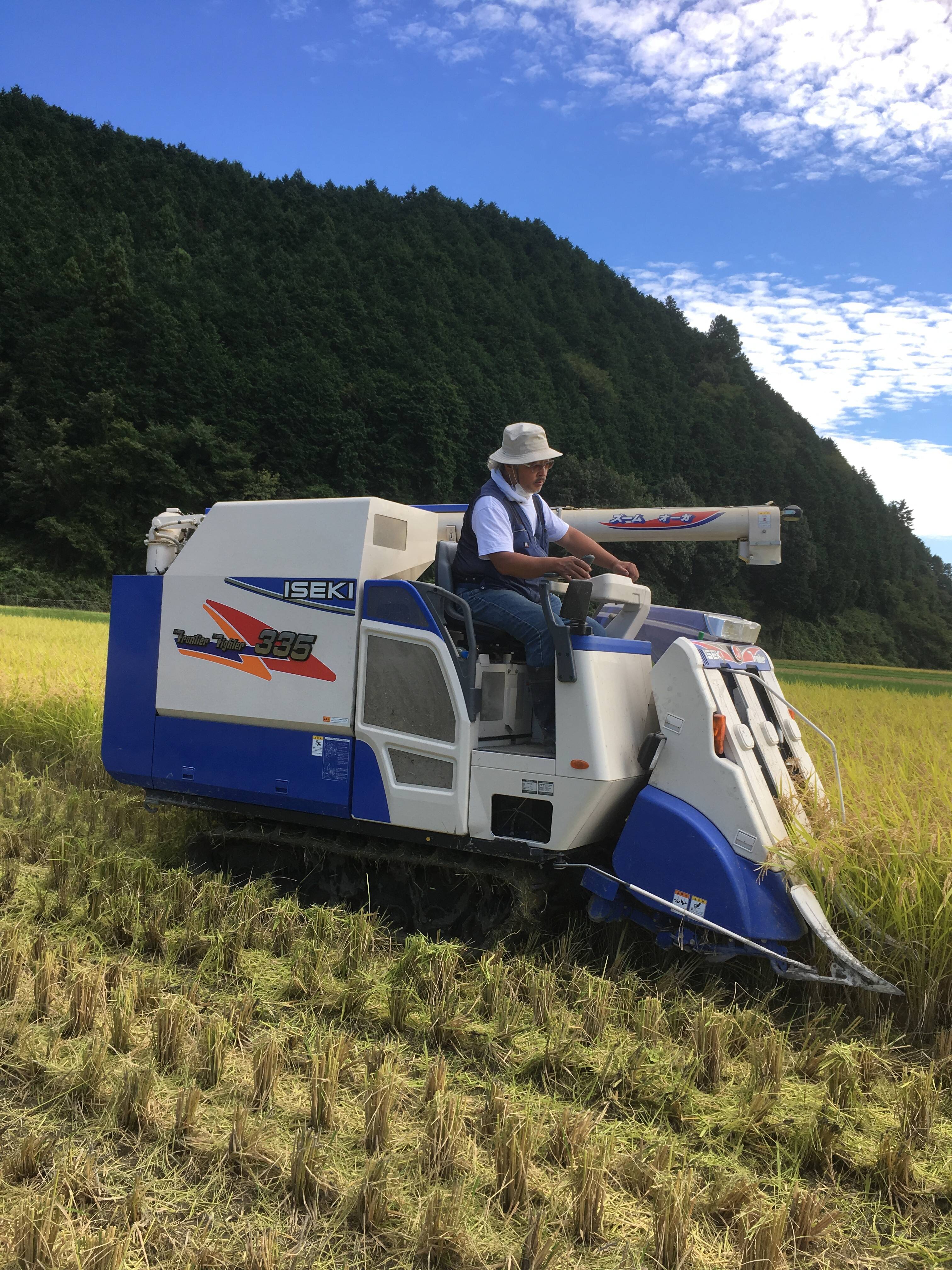 農薬検出ゼロ 令和7年度産丹波産コシヒカリ5kg（みつばちのお米Ⅰ