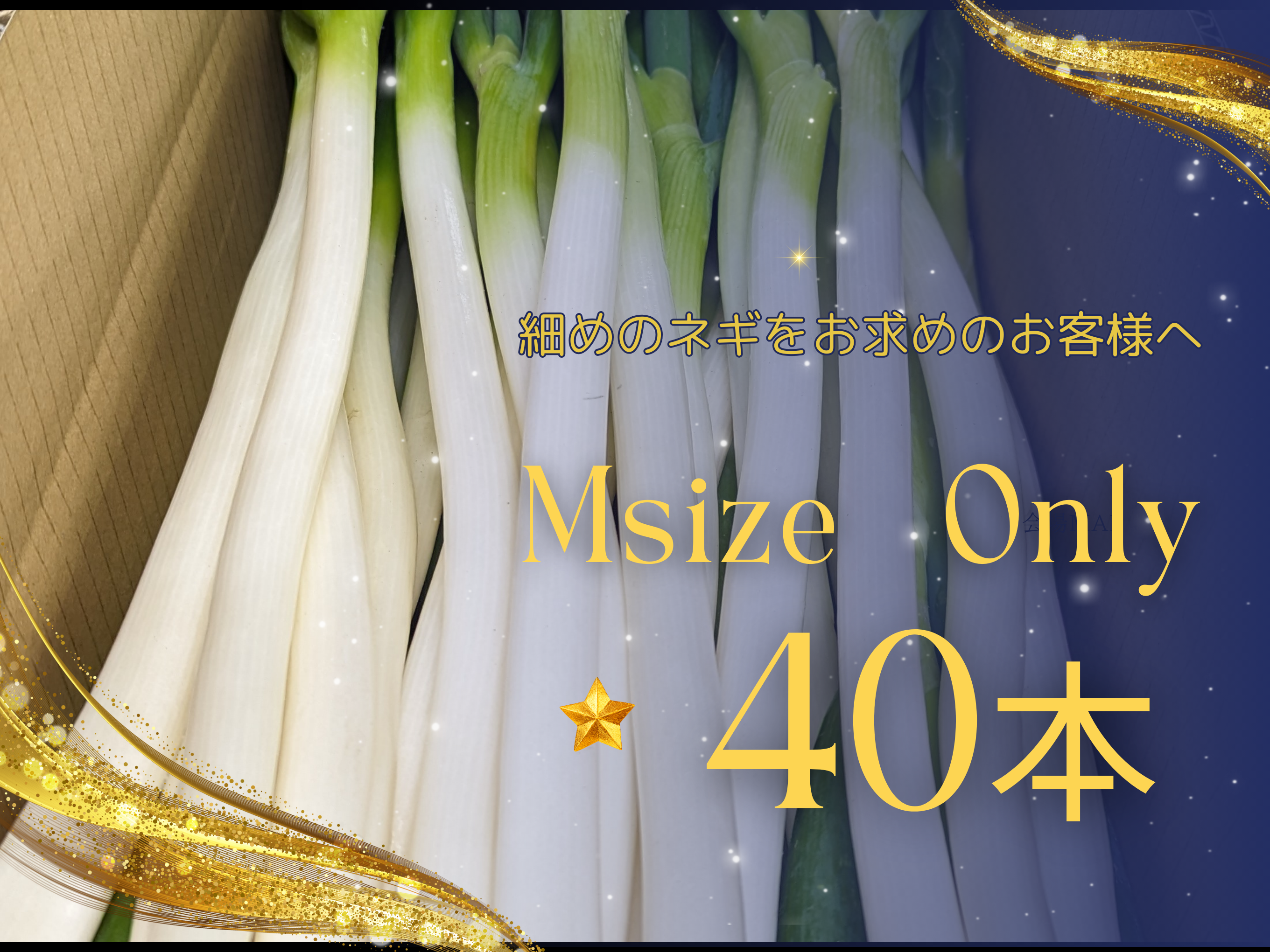 トロっとしてうまくて甘い白ネギ！Mサイズ（40本）：静岡県産の