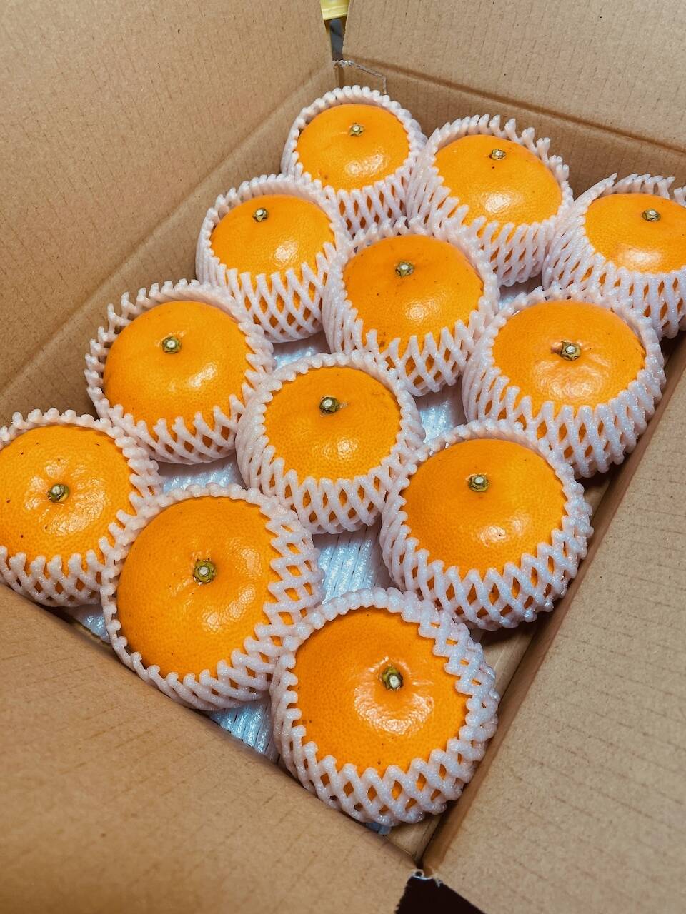 手の中に とろける幸せ】果汁じゅわっ！とあふれる、訳ありだけど