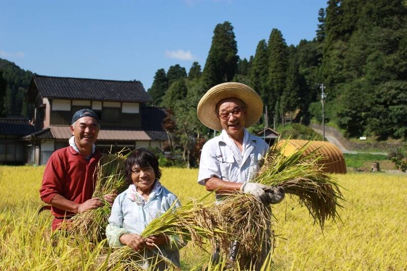 天皇献上米てんたかく（農薬３割減）令和5年産白米9㎏