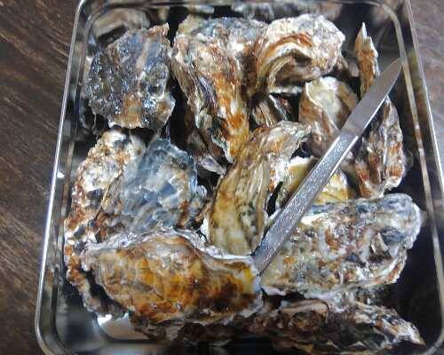 おかわり3kg付セット☆無選別蒸し缶2kg 加熱用 牡蠣 宮城県産 殻