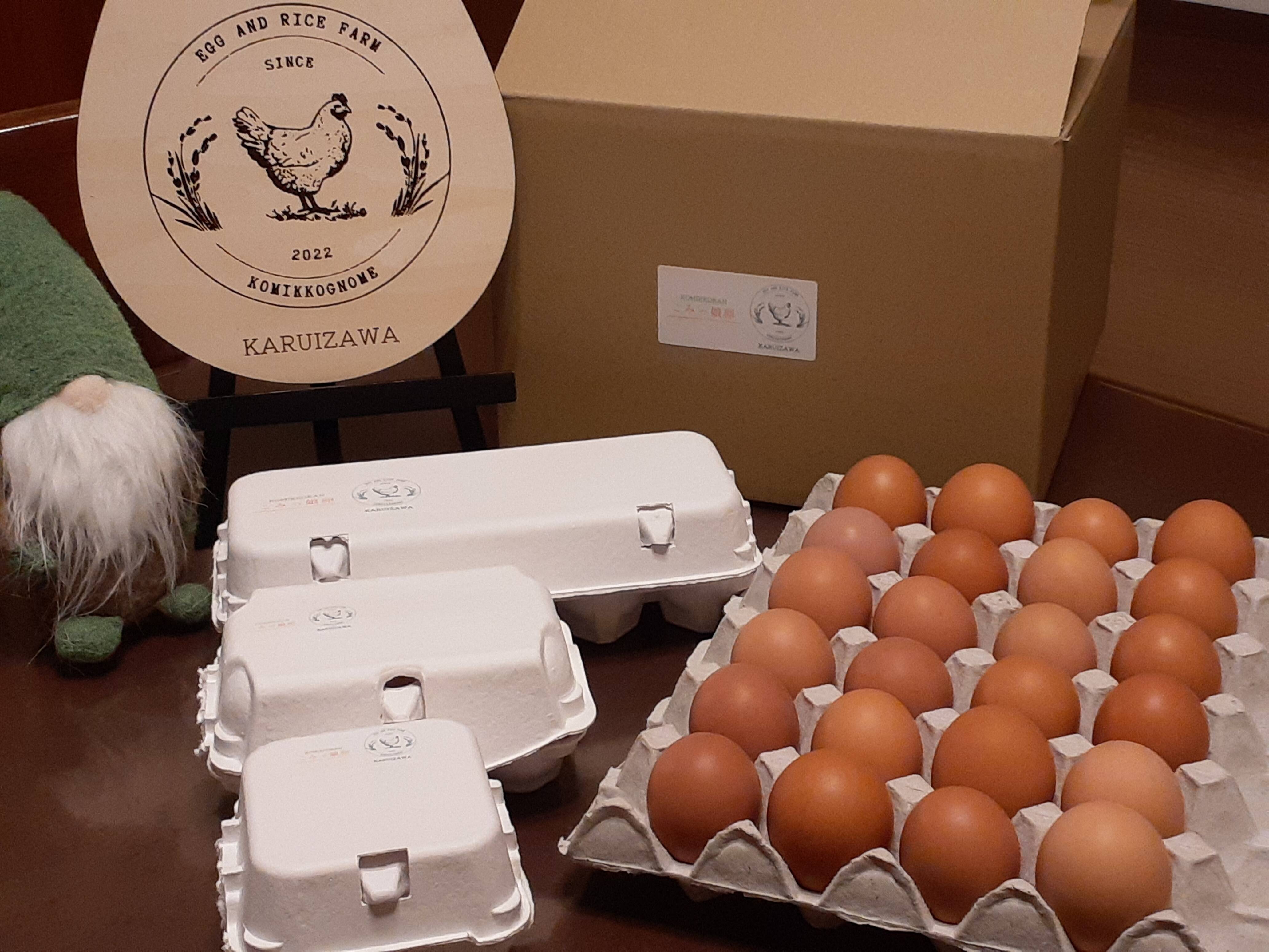 【送料無料/新品】 軽井沢生まれ平飼い卵！20個入り：長野県産の平飼い｜食べチョク その他