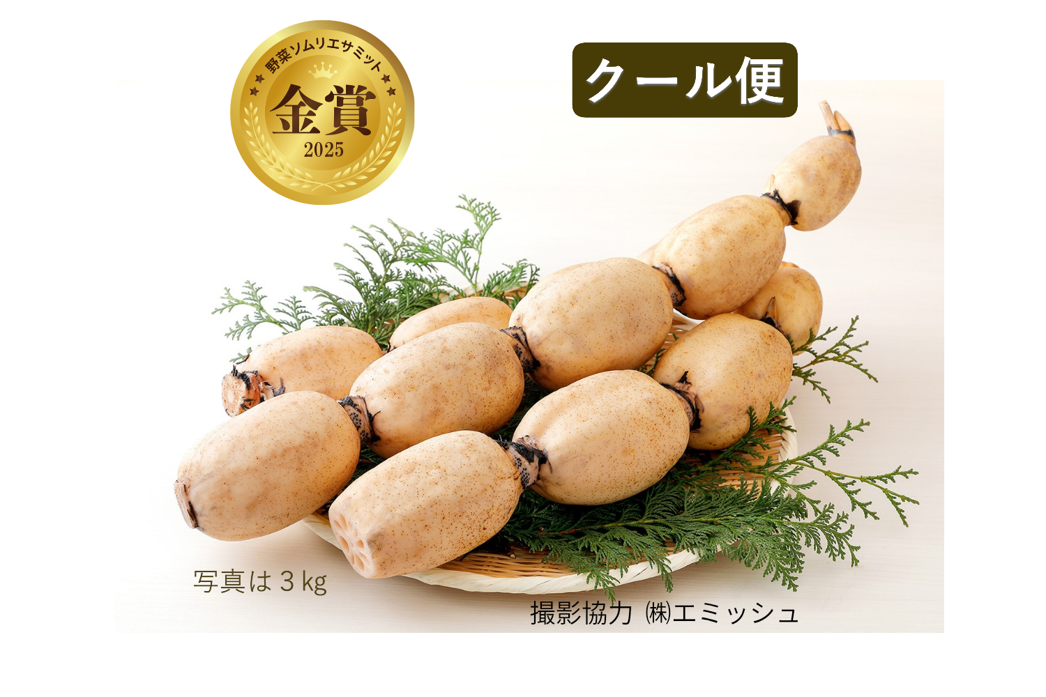 土浦レンコン1.7キロ　クール便のみ7月から クール便【2025年野菜ソムリエサミット金賞】すずきの「口福れんこん