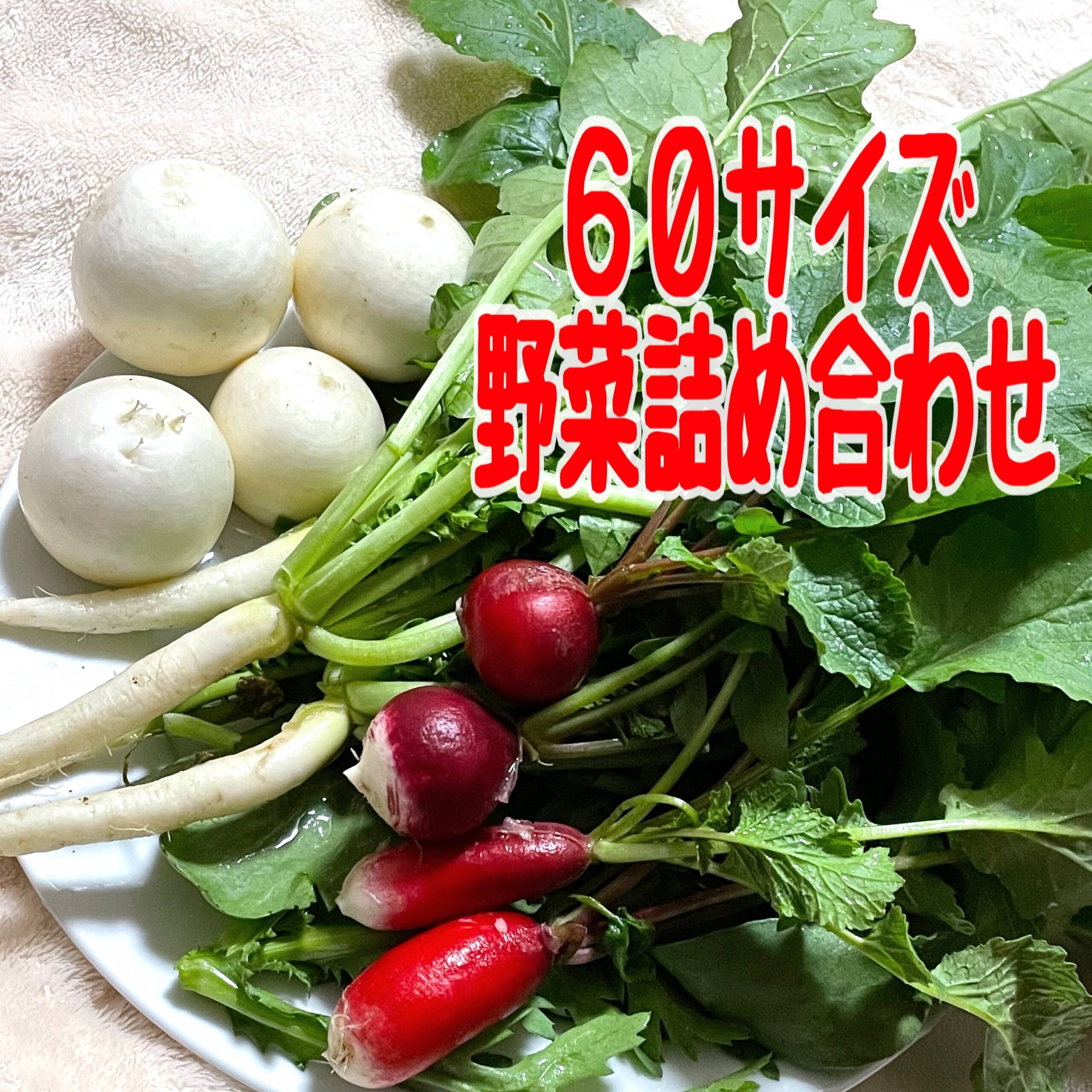 60サイズの野菜セット：岡山県産の野菜セット｜食べチョク｜産地直送