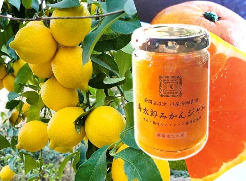 51172bc0e90a631b1d5c261cc0fe51