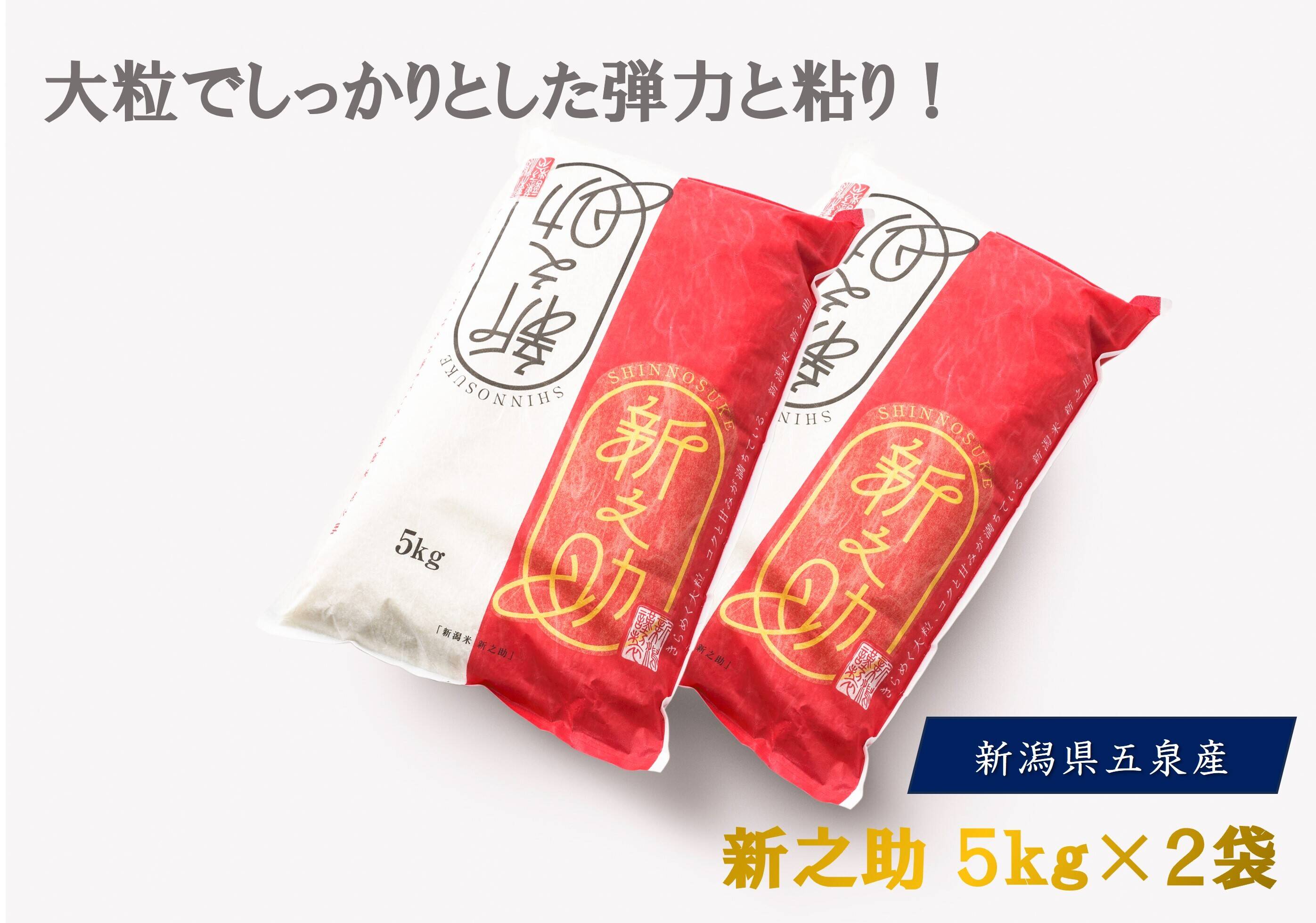 残り10袋!!令和6年 新之助5kg×2袋 精米:新潟県産の 残り10袋!!令和6年 新之助5kg×2袋 精米:新潟県産の