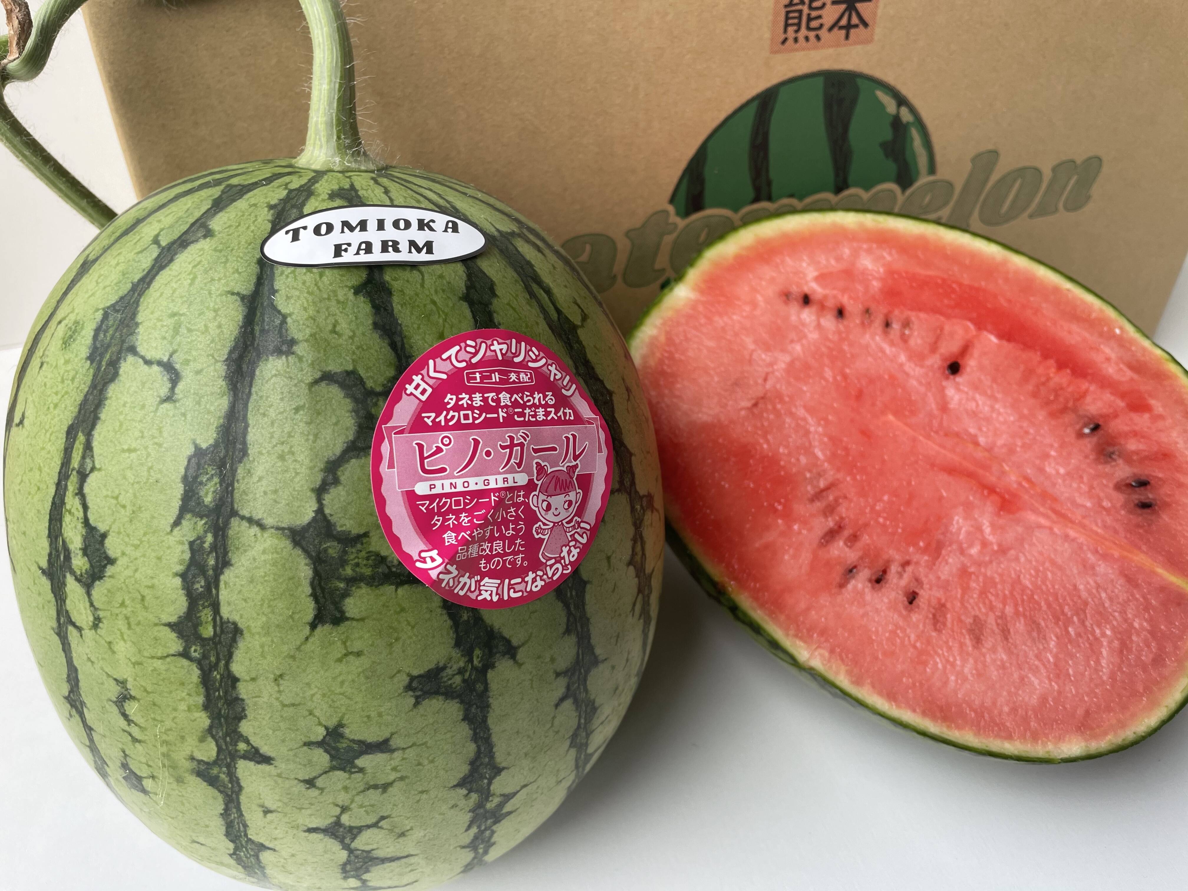 種が小さい お手頃サイズ食べやすい小玉スイカ ピノガール2玉 2l以上 熊本県産 食べチョク 農家 漁師の産直ネット通販 旬の食材を生産者直送 種が小さい お手頃サイズ食べやすい小玉スイカ ピノガール2玉 2l以上 熊本県産 食べチョク 農家 漁師の産直ネット通販 旬の食材を生産者直送