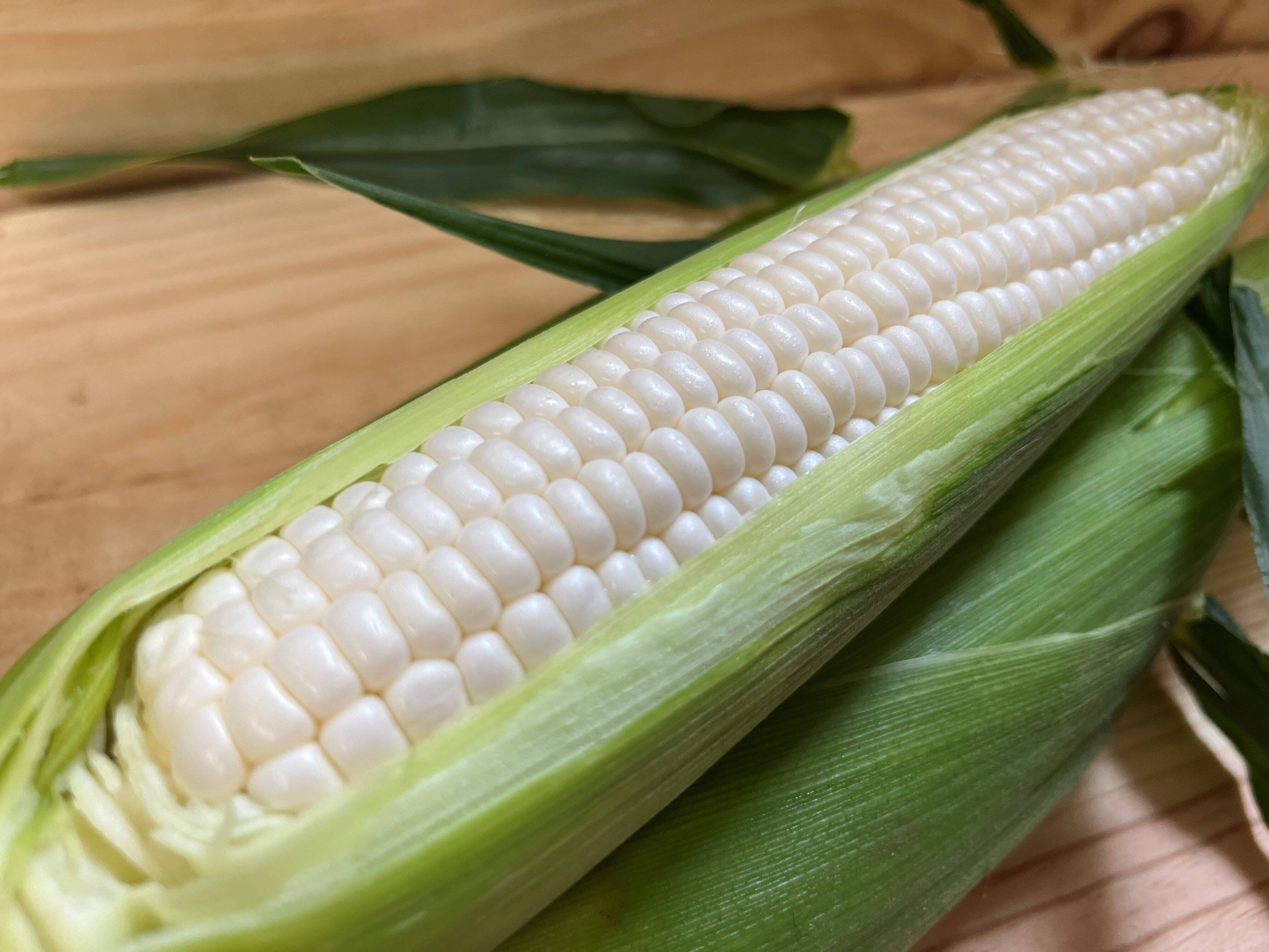 予約販売※【夏ギフト】【朝どれ】甘さ爆発！弾けるとうもろこし 白色