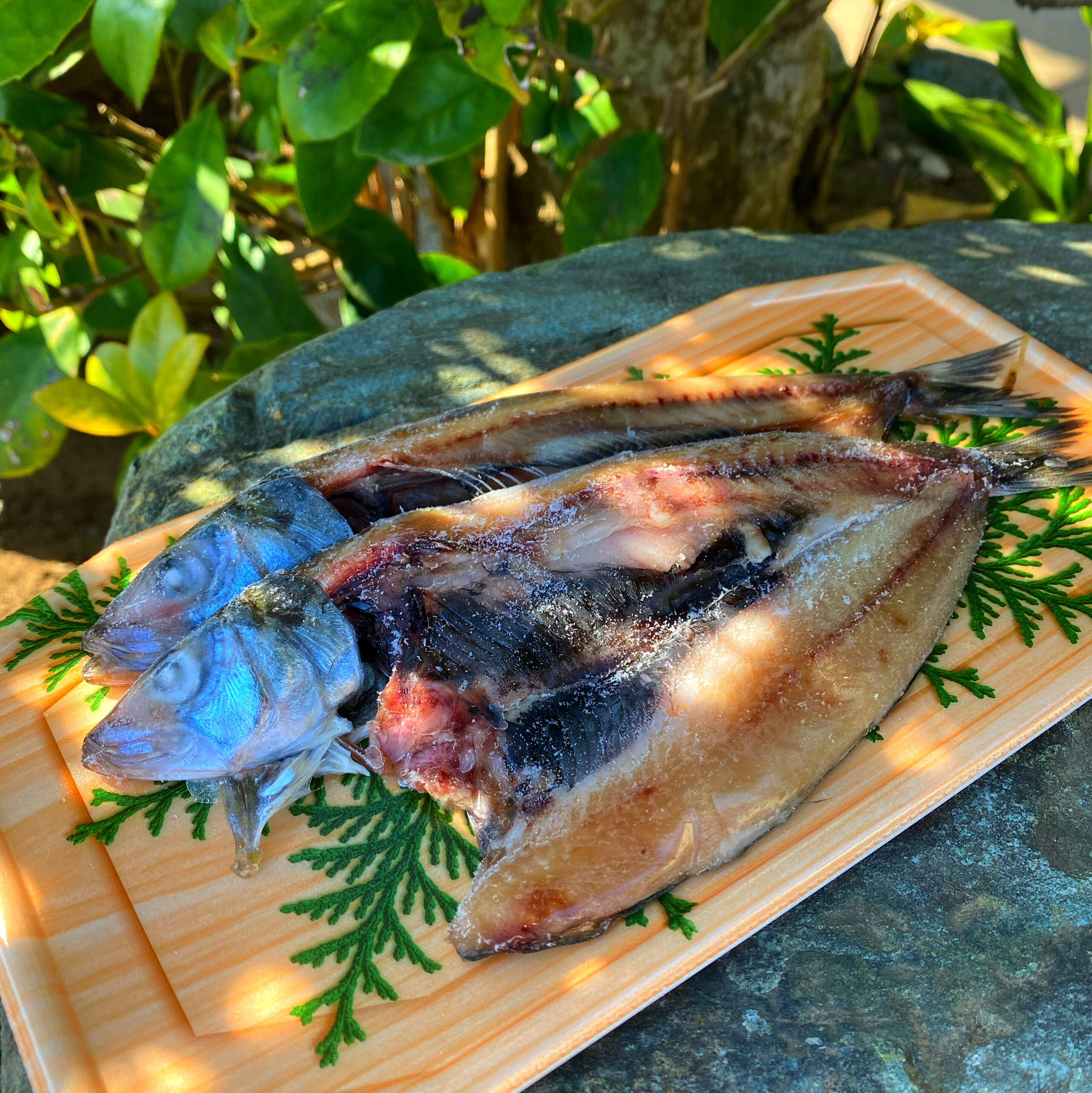 脂のり◎真イワシの開き(天日干し)：千葉県産のドライフード｜食べ