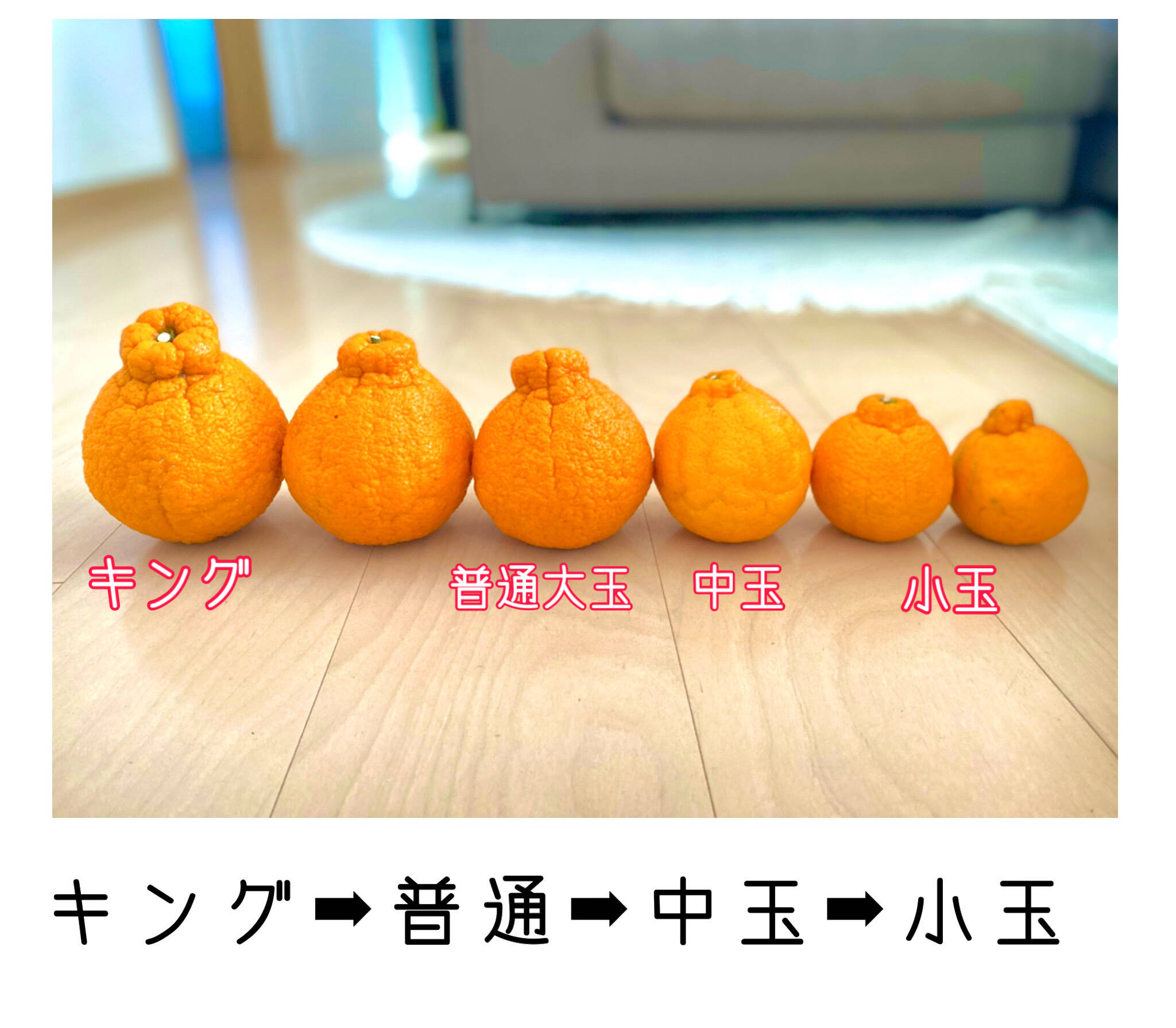 家庭用/中玉5kg】訳ありしらぬい(琥珀)‼️ハウスみかん生産日本一