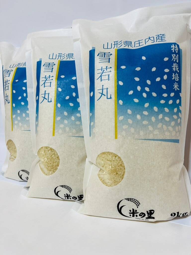 山形が誇るブランド米！山形県産特別栽培米雪若丸（白米）6kg