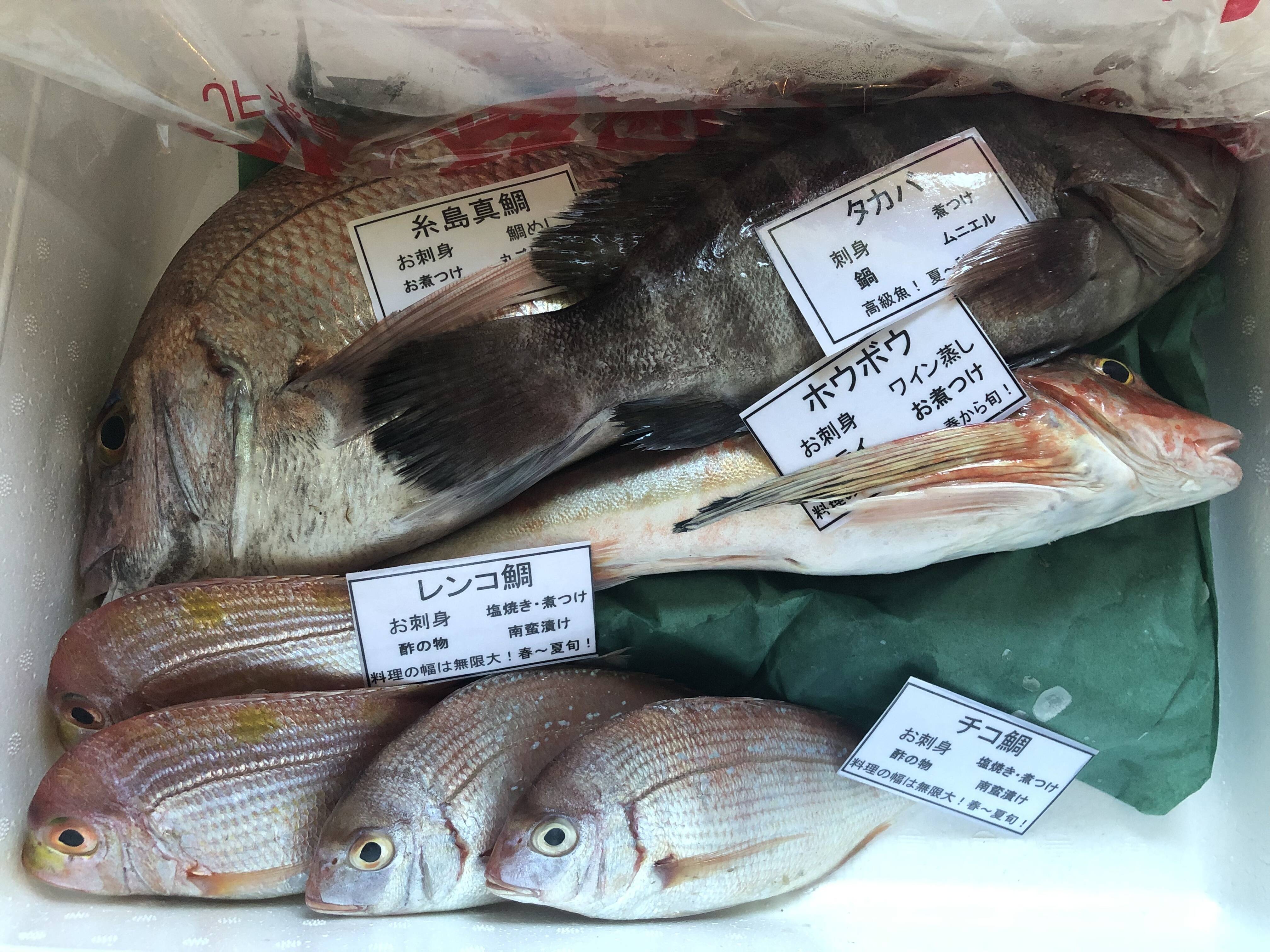 あきらさんが糸島順徳丸さんの夏ギフト!残暑お見舞い8月出品最後