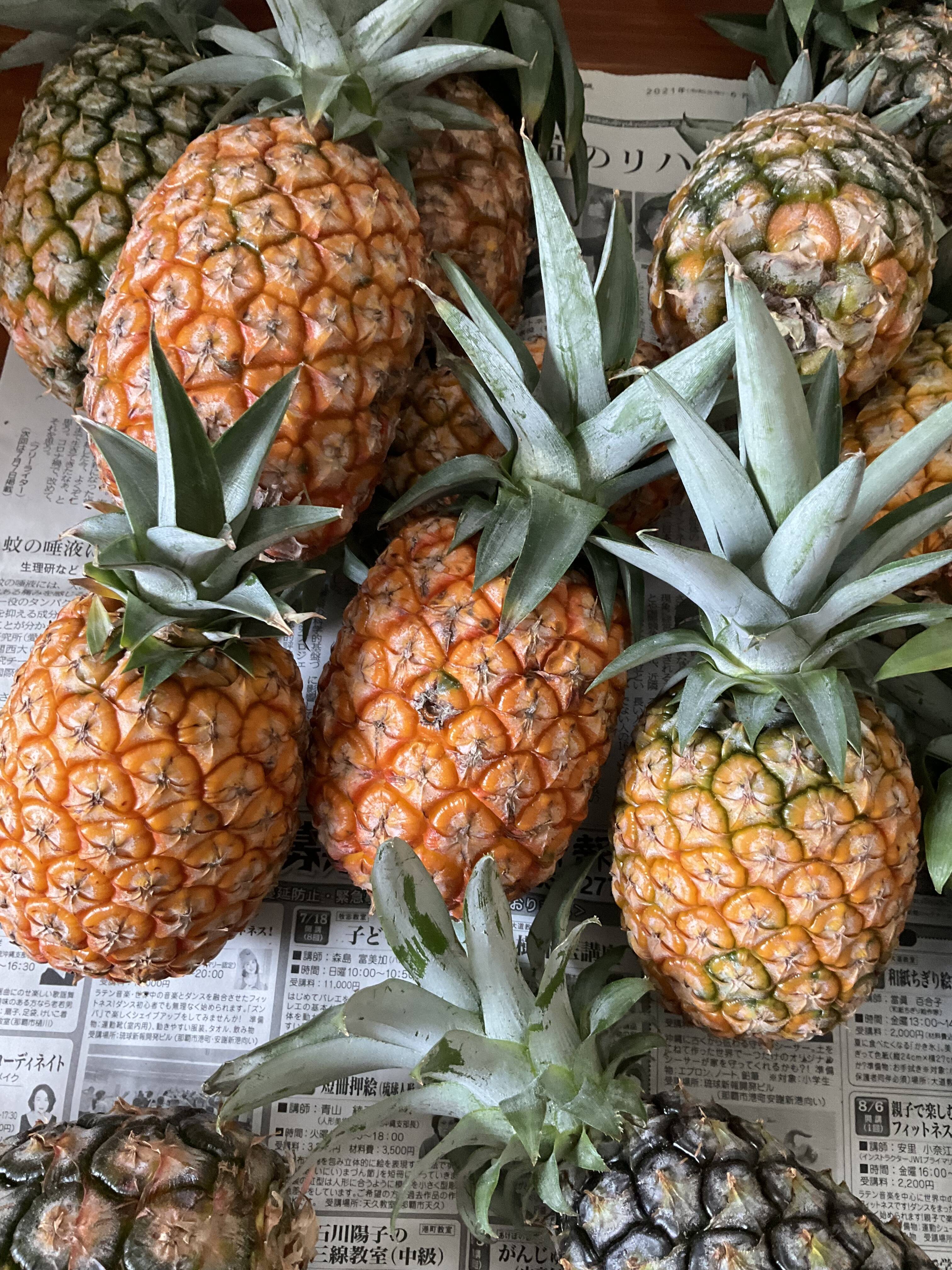 サンドルチエ 1000g ゴールドバレル1000g 計2kg：沖縄県産のサン