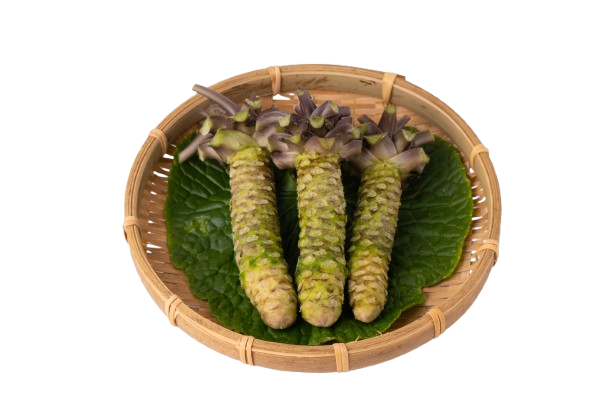 やさい屋ひろ坊‼️ 岩手県産天然葉わさび40本行者ニンニク100本計140本 葉わさび醤油漬【小】(80g) | NAKATSURU BUSSAN SHOP