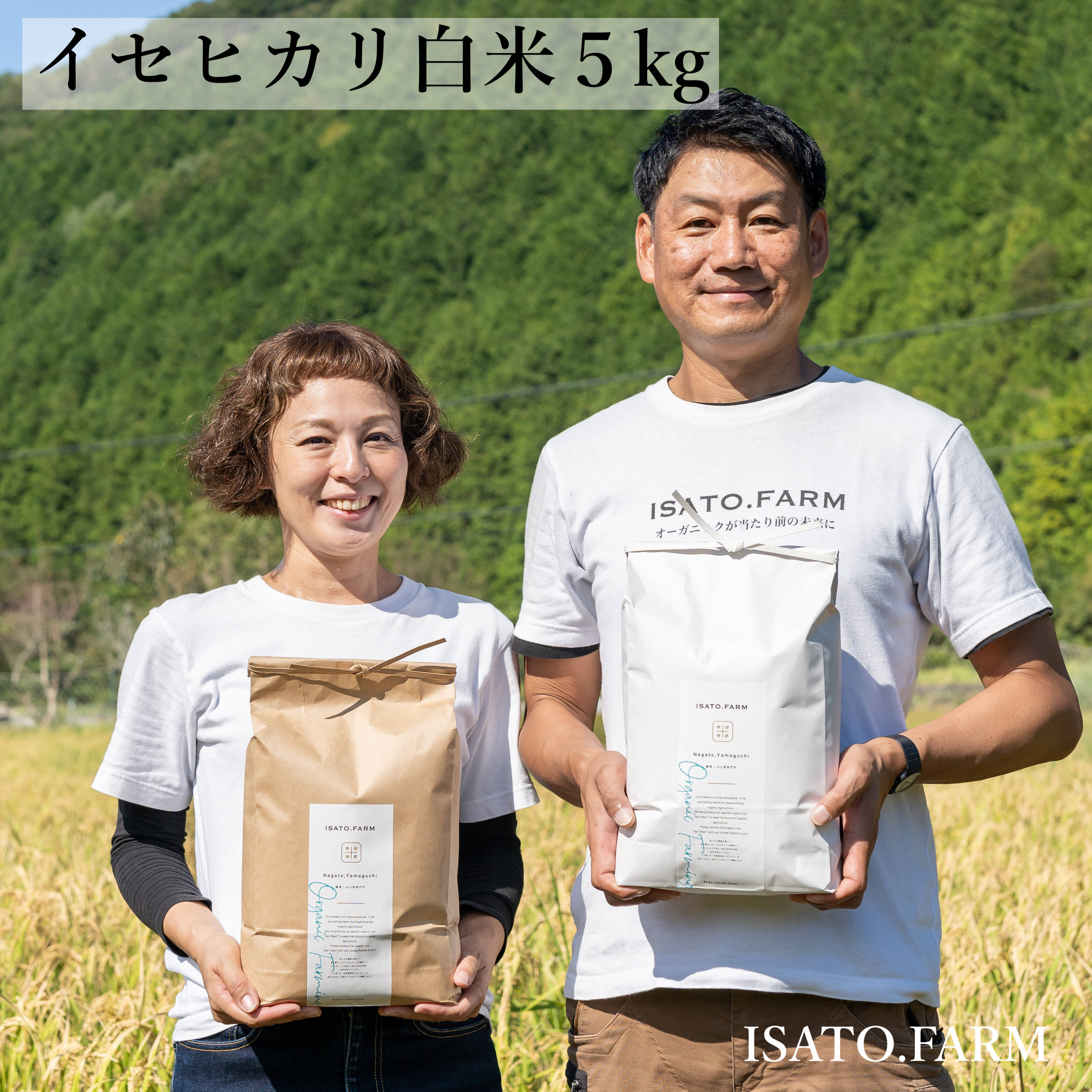 食品 無農薬!自然栽培!農家直送!令和元年度佐賀県産!「伊勢ヒカリ