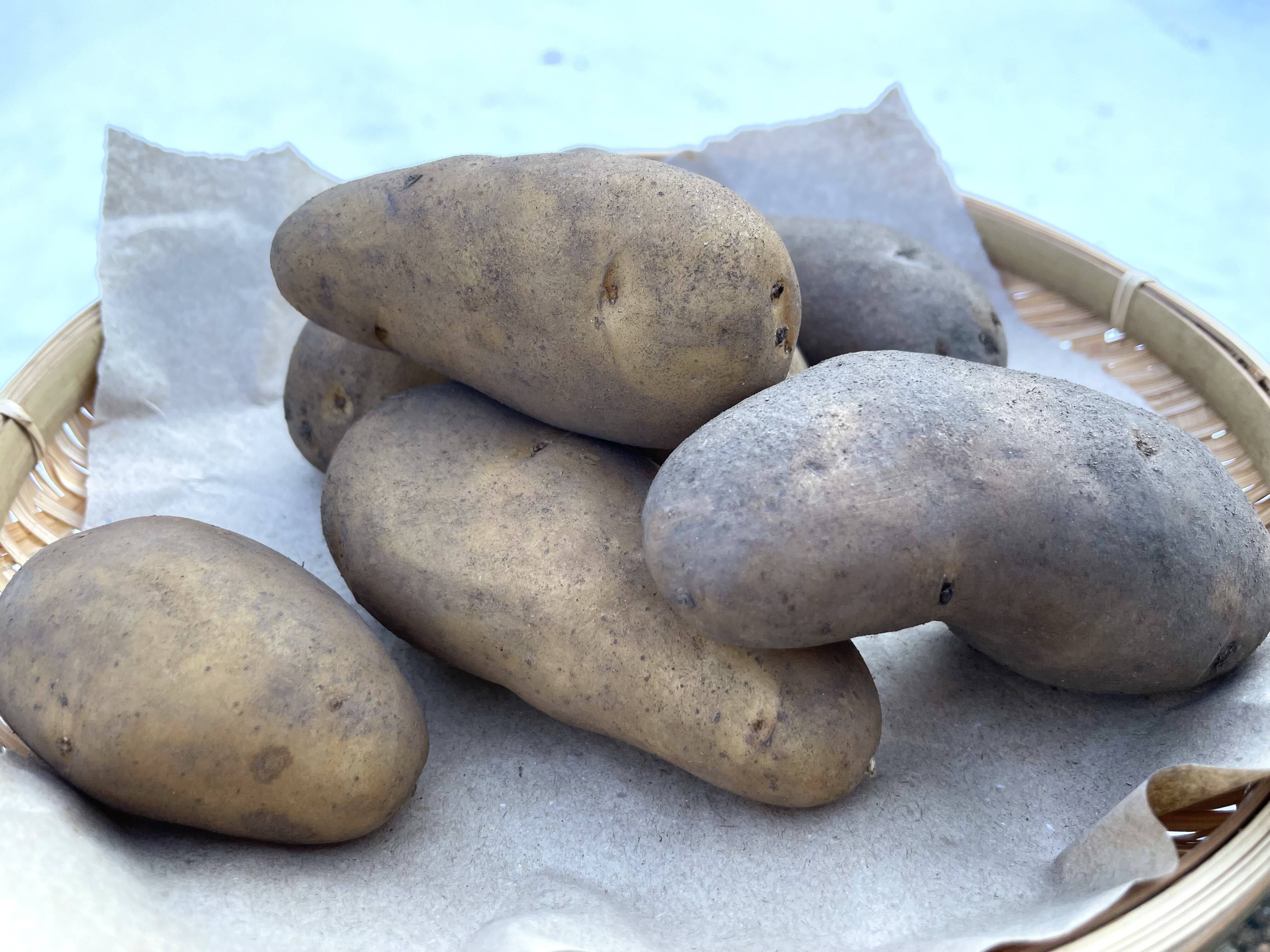 ジャガイモ　メーク　訳あり　05 kakabit_wakejagaimo1kg