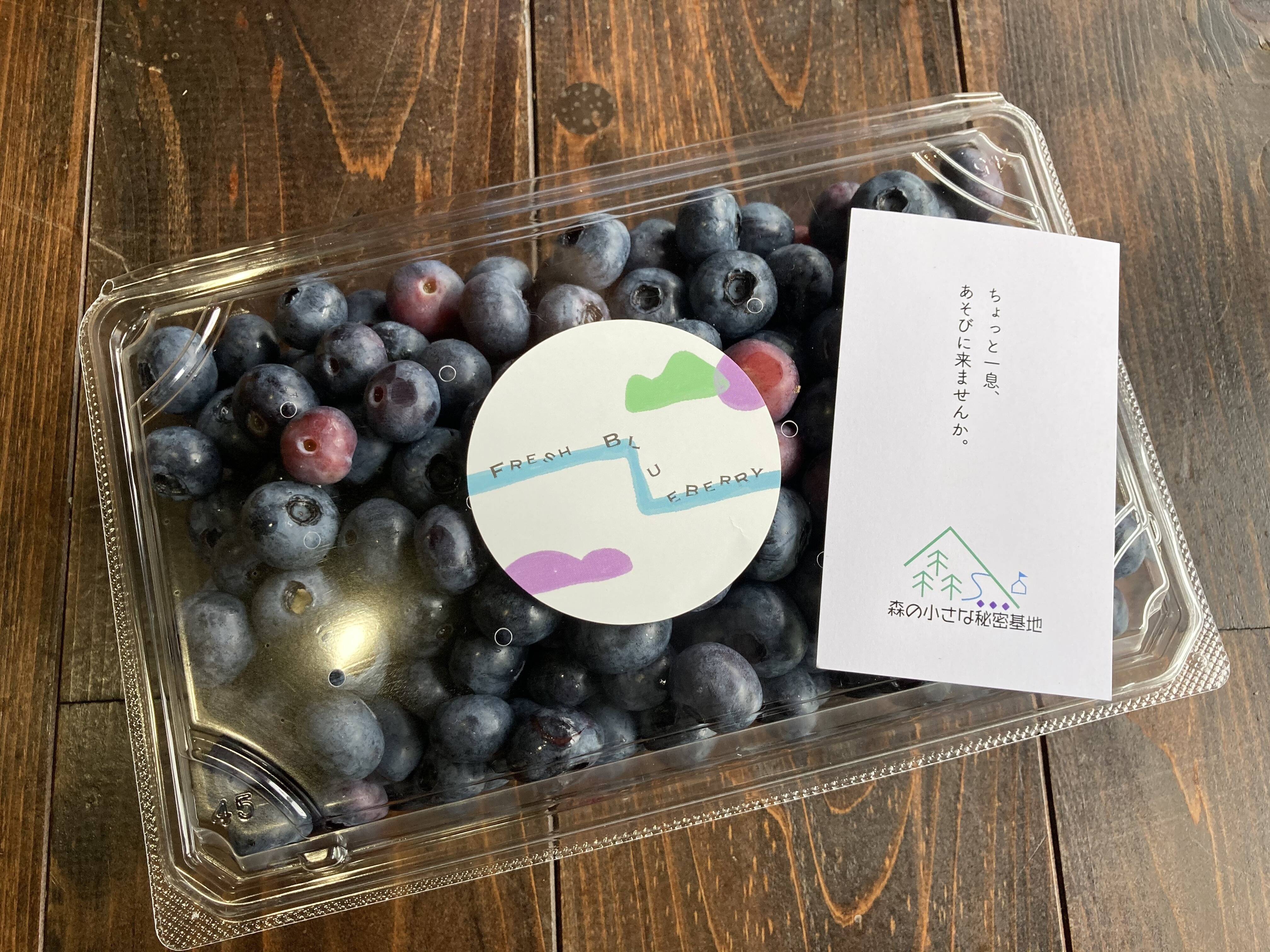 大鹿村産農薬不使用】フレッシュブルーベリー（500g×2）：長野県産の
