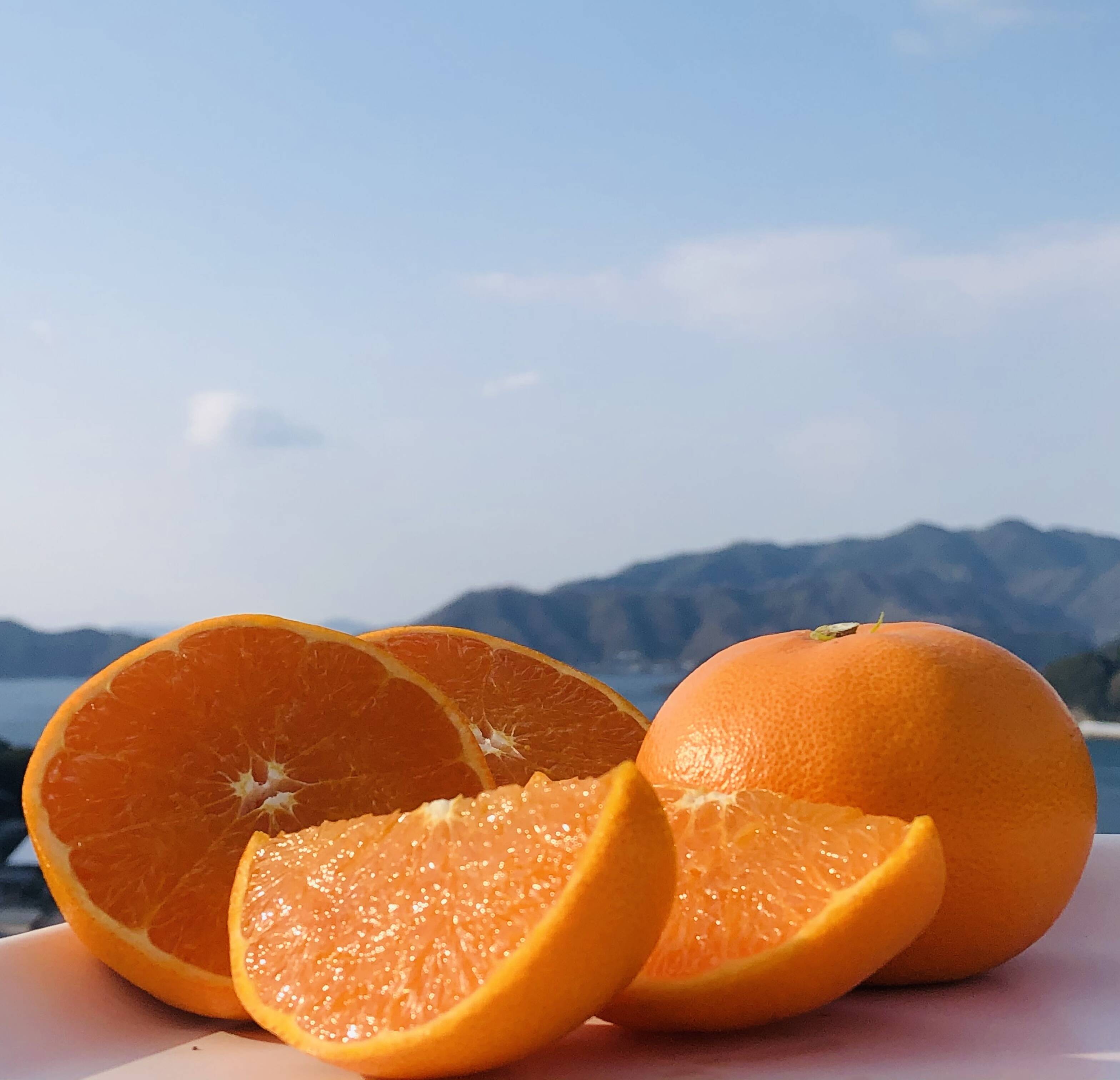 贈り物にもぴったり せとか秀品3キロ：愛媛県産のみかん・柑橘類｜食べチョク｜産地直送(産直)お取り寄せ通販 - 農家・漁師から旬の食材を直送