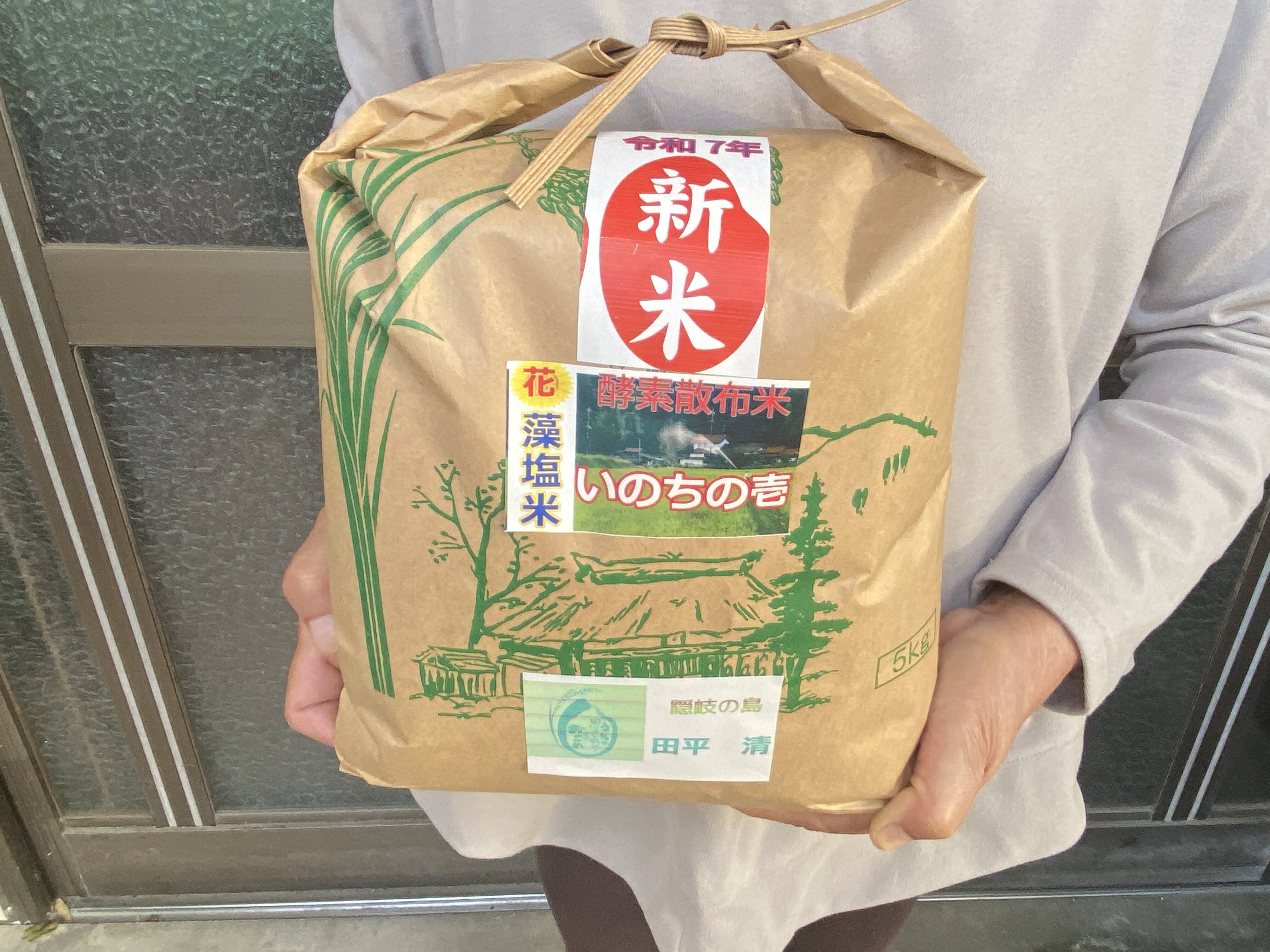 令和7年9月に刈り取りました新米いのちの壱(超大粒)☆酵素散布米